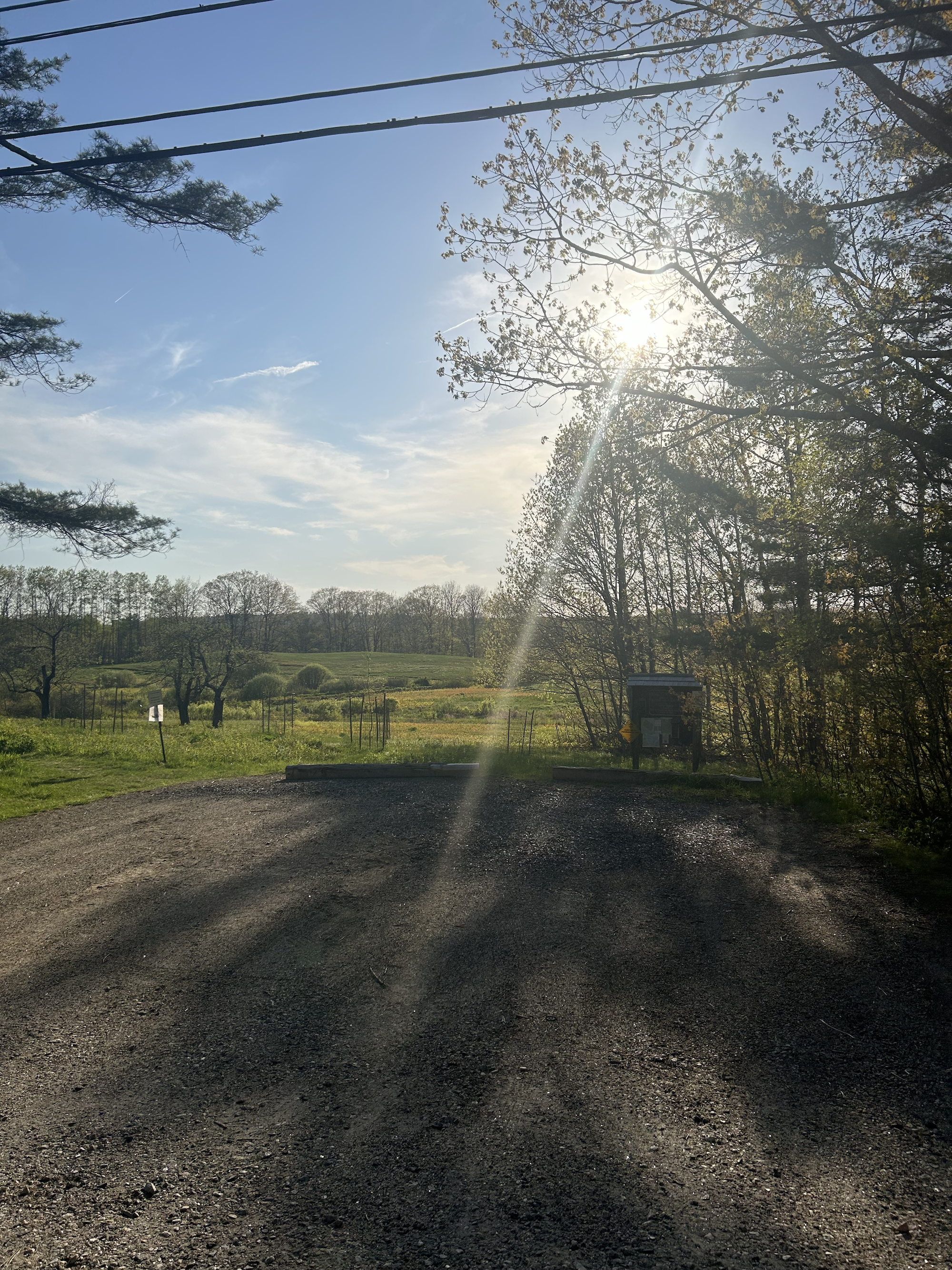 Feel free to park at Signing Meadows Preserve to enjoy a lovely sunset.