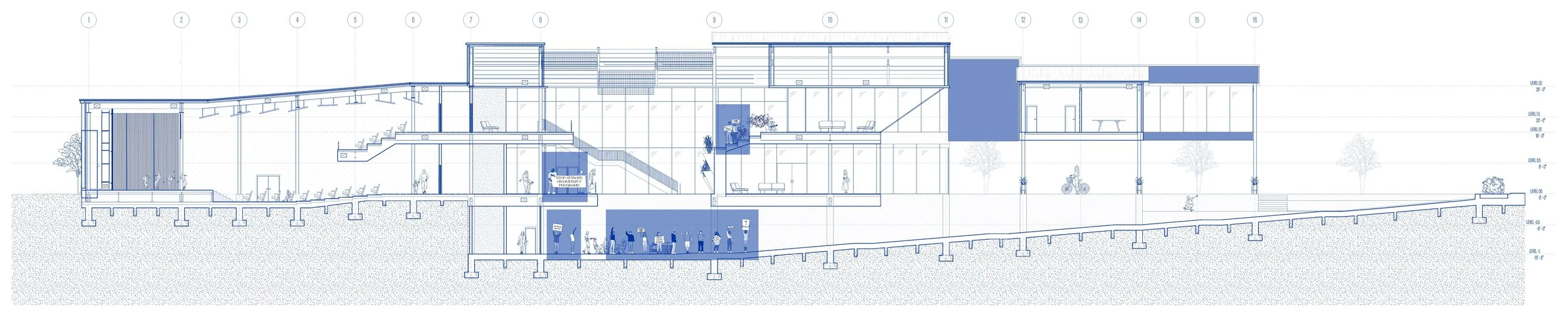 Longitudinal Section