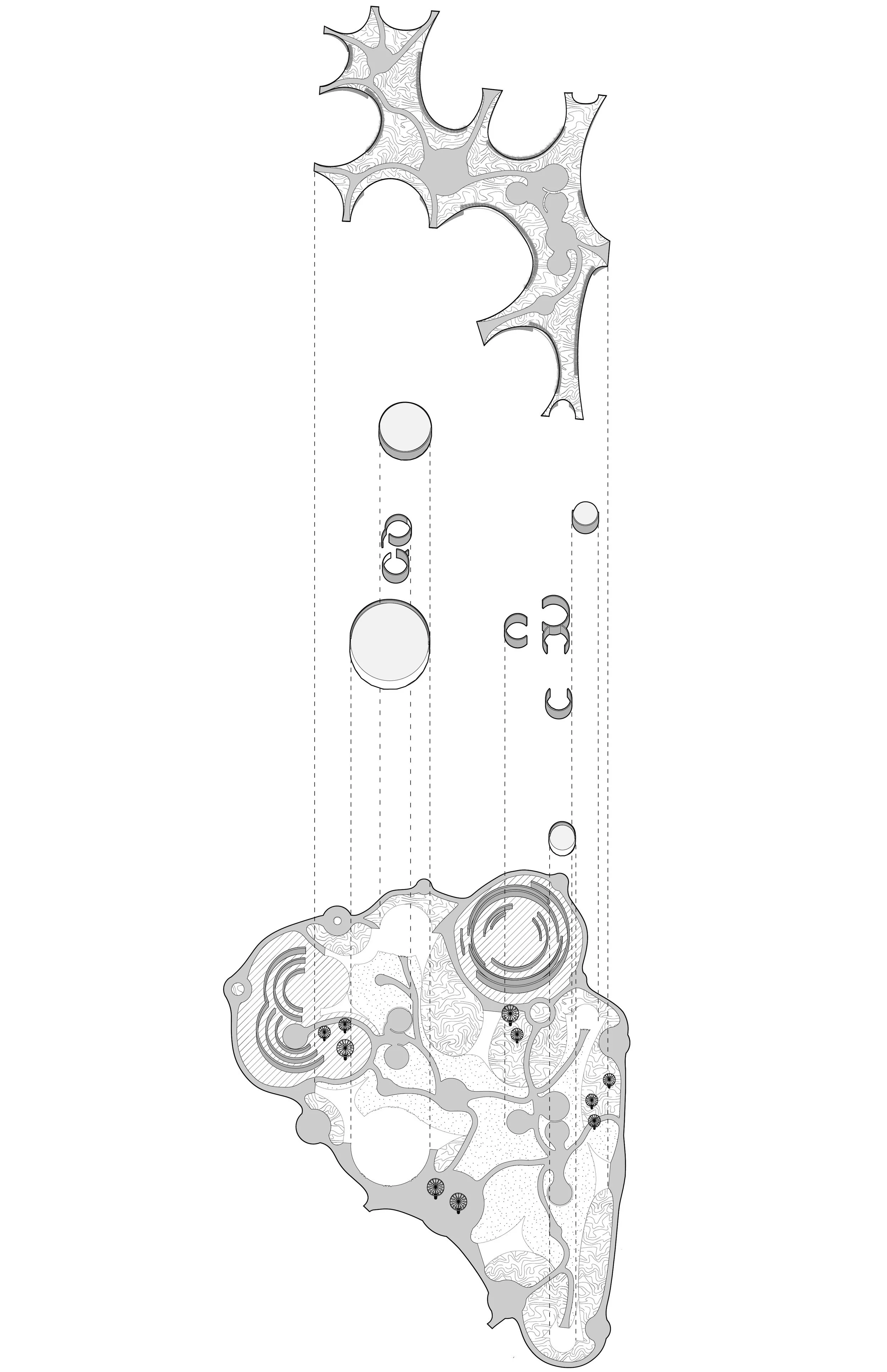 EXPLODED AXON-01.jpg