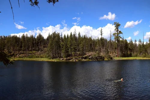 Swimming in an alpine lake