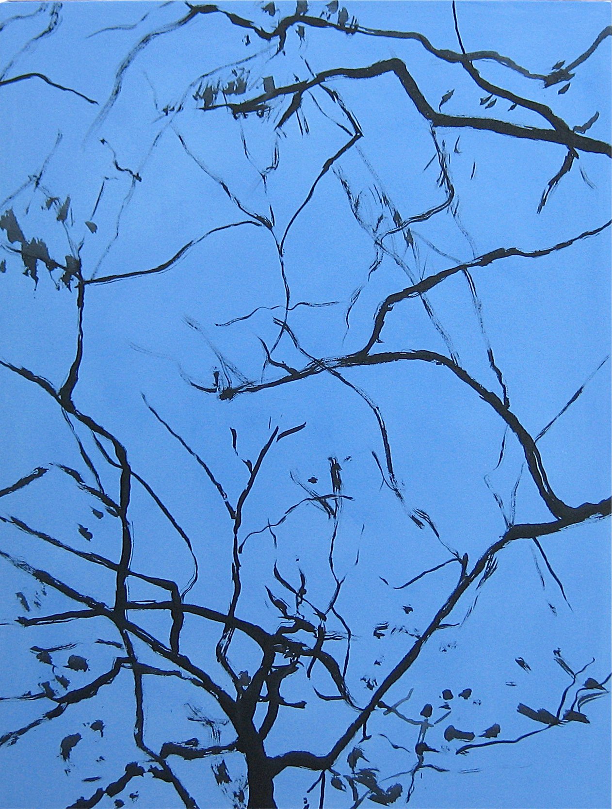 Very blue branches | private collection