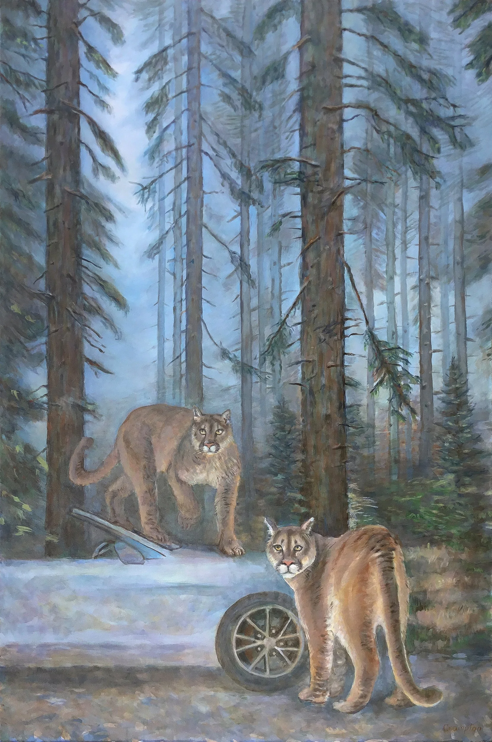 Mountain Lions in Redwood Forest, 72x48x2 | private collection