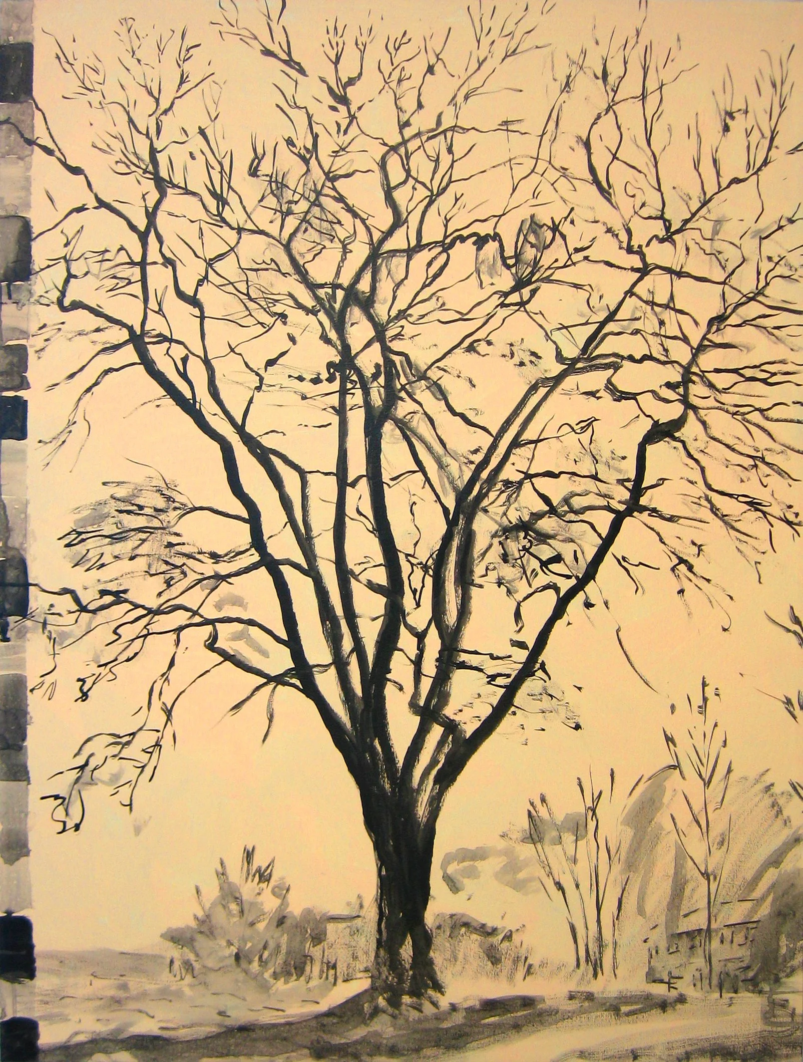 Sunset tree/coral tree | private collection