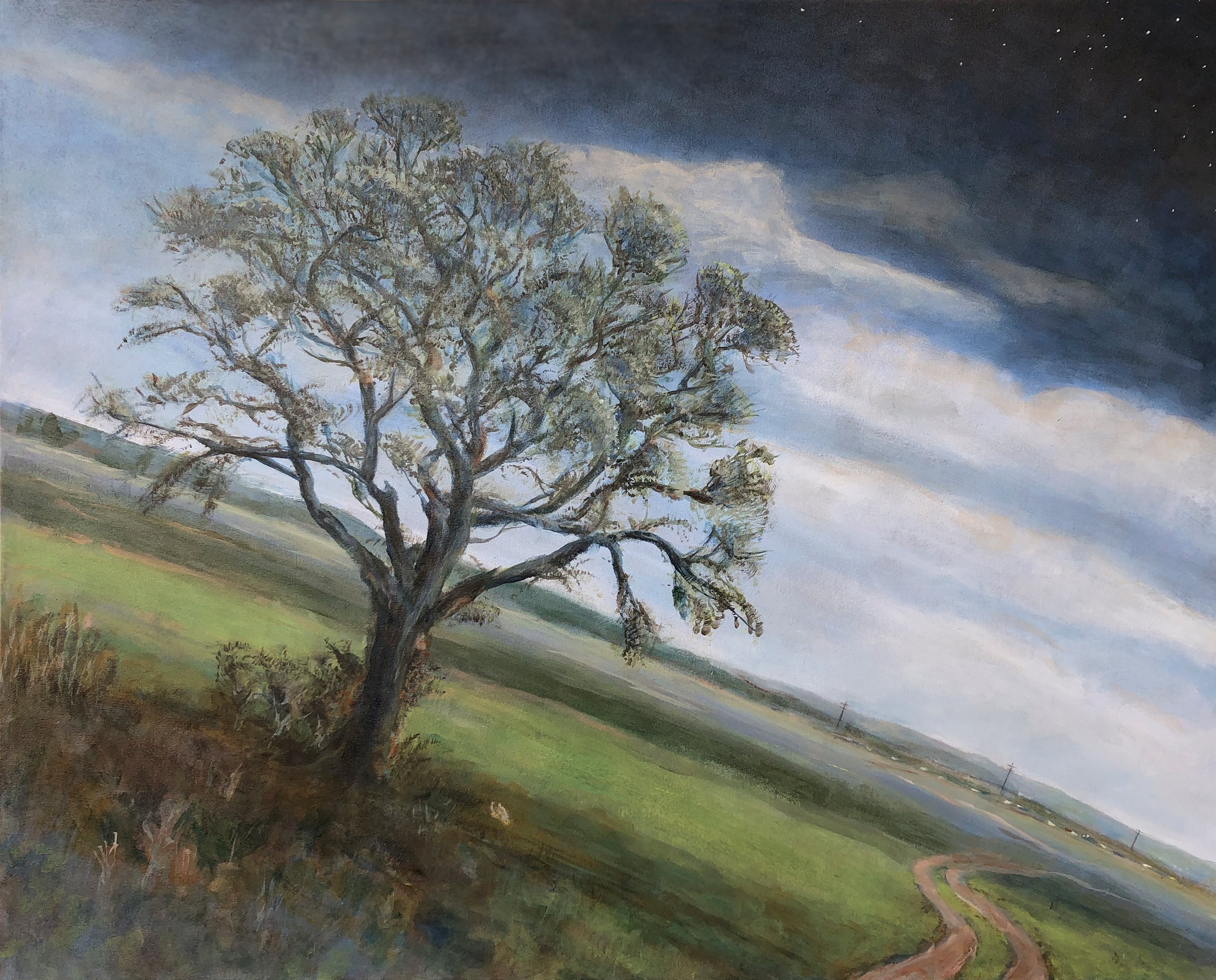 Slanted Landscape | private collection