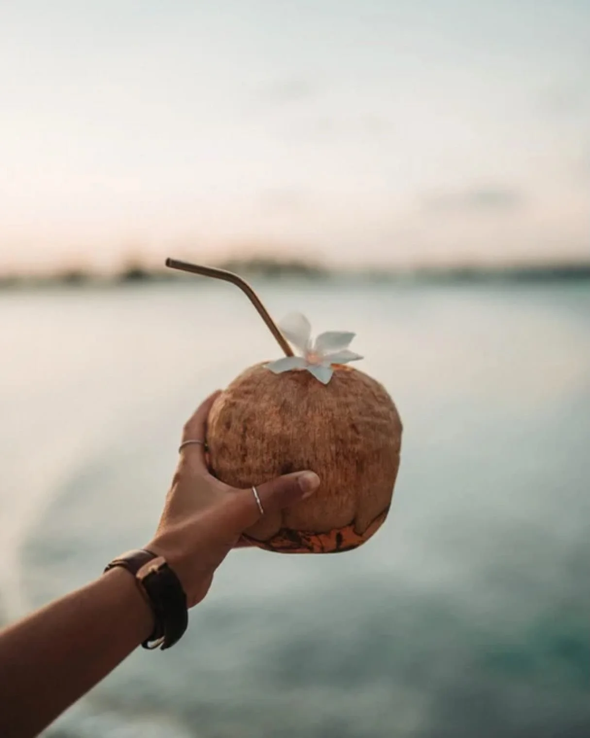 💭 Dreaming of a getaway? 🌿

Book a 90min or 60min massage for yourself. ✨

𝓡𝓮𝓼𝓽. 𝓡𝓮𝓼𝓮𝓽. 𝓑𝓻𝓮𝓪𝓽𝓱𝓮.

🗓️ Daytime appointments available Feb. 2,3,4 

Solamassage.com 

#massagetherapy 
#minivaca 
#healthybodyhealthymind 
#bestill