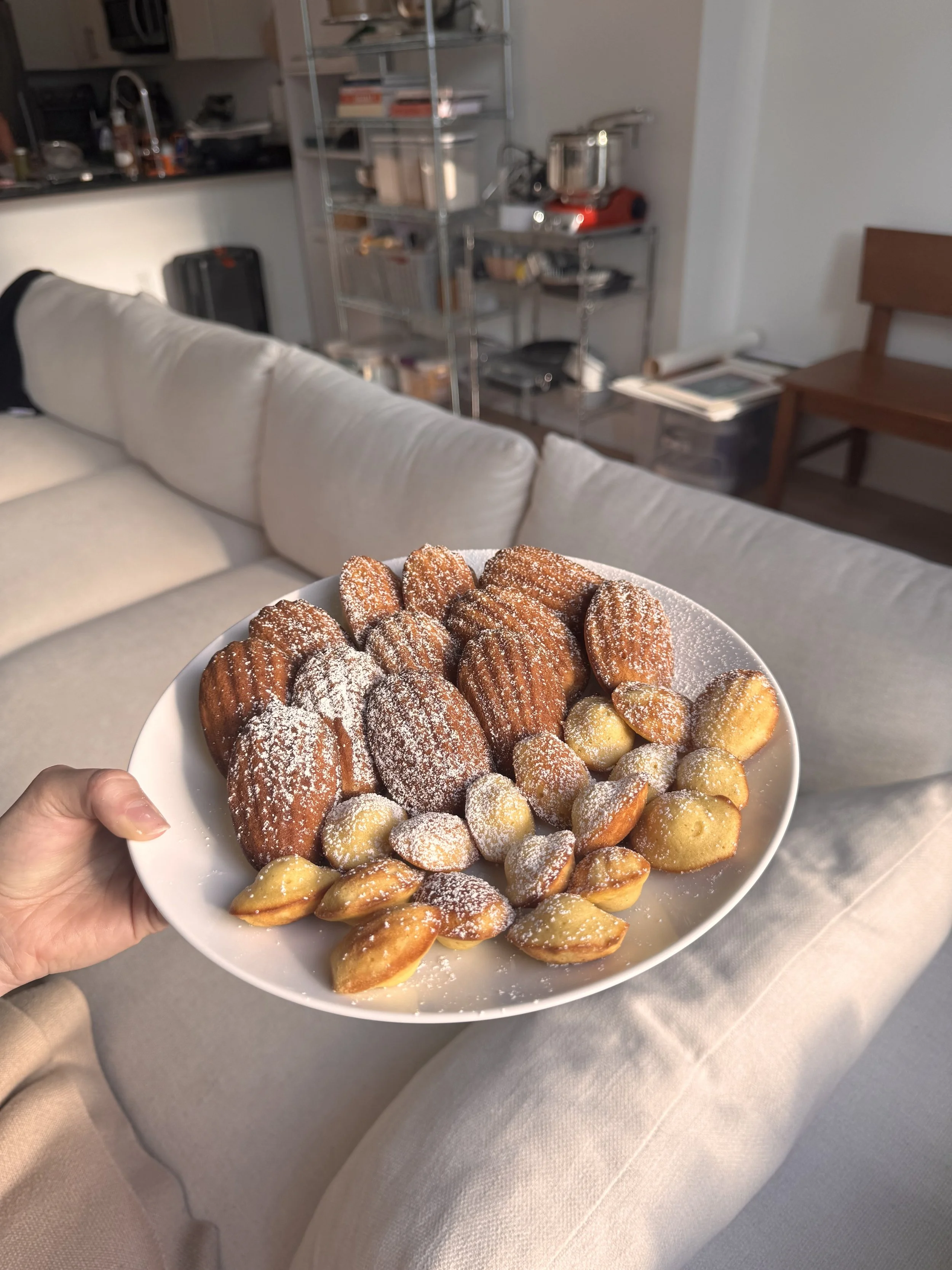 Orange blossom vanilla madeleines