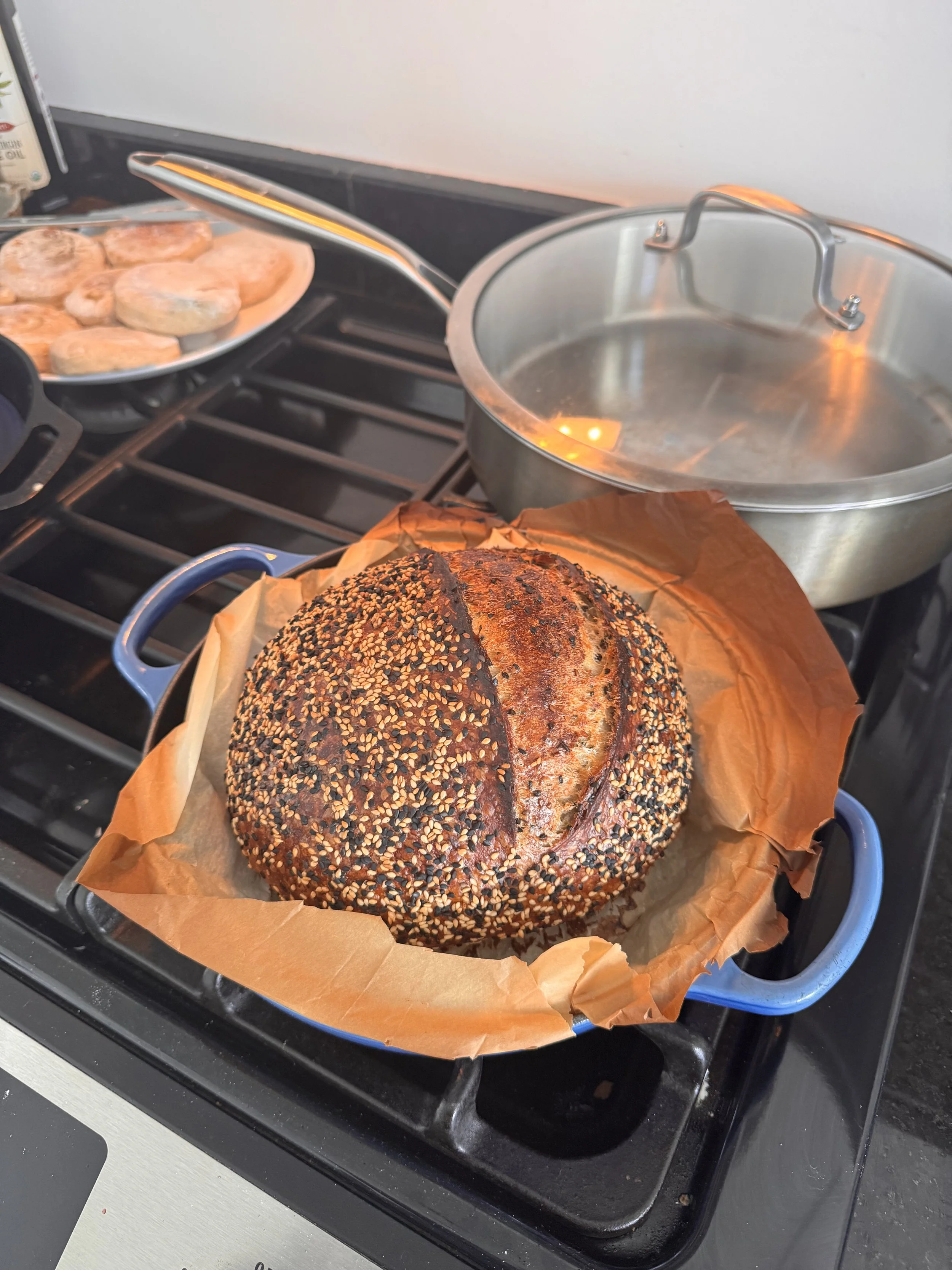 Honey sesame boule! 