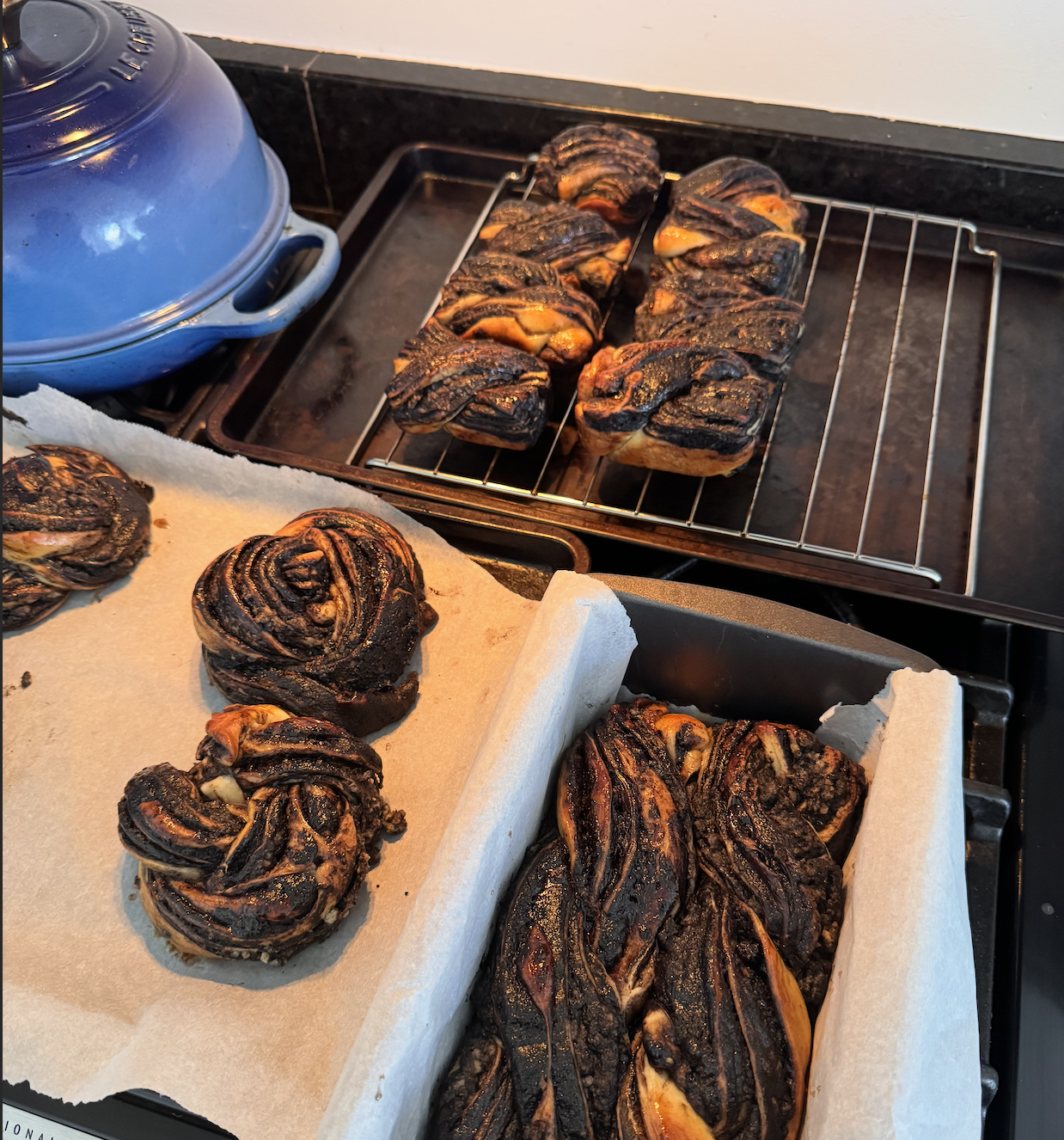 Black cocoa babka (playing around with some shaping here)