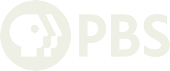 This image contains a large, semi-transparent PBS logo on a plain background.