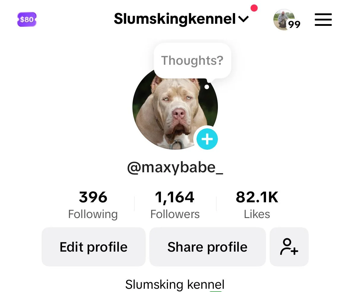 TikTok profile page named Slumskingkennel with a dog profile picture, a dog with a speech bubble saying 'Thoughts?', 396 following, 1,164 followers, 82.1K likes, and options to edit or share the profile.