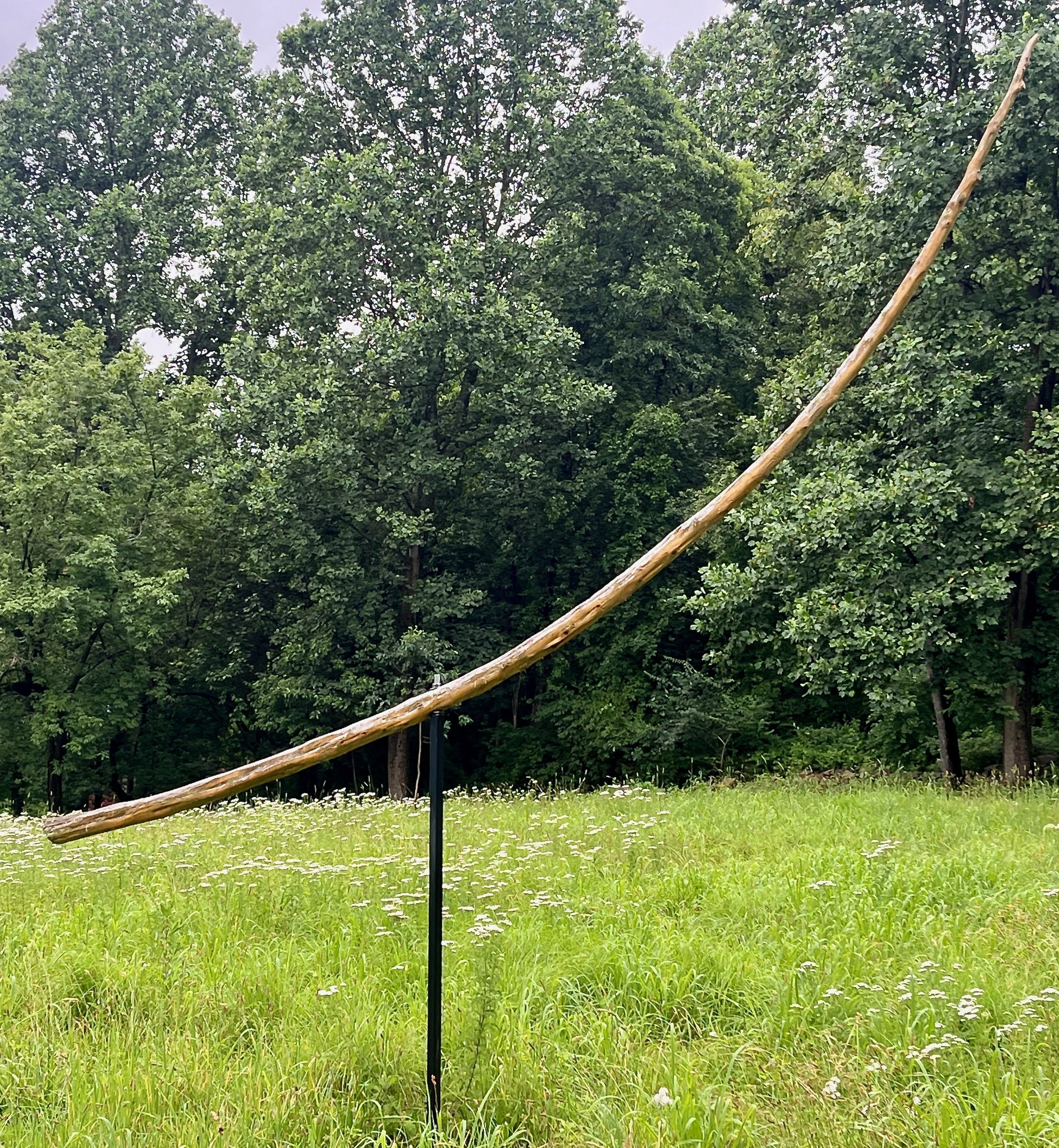 "Tusk" 2022, cedar and steel, 12" x 14