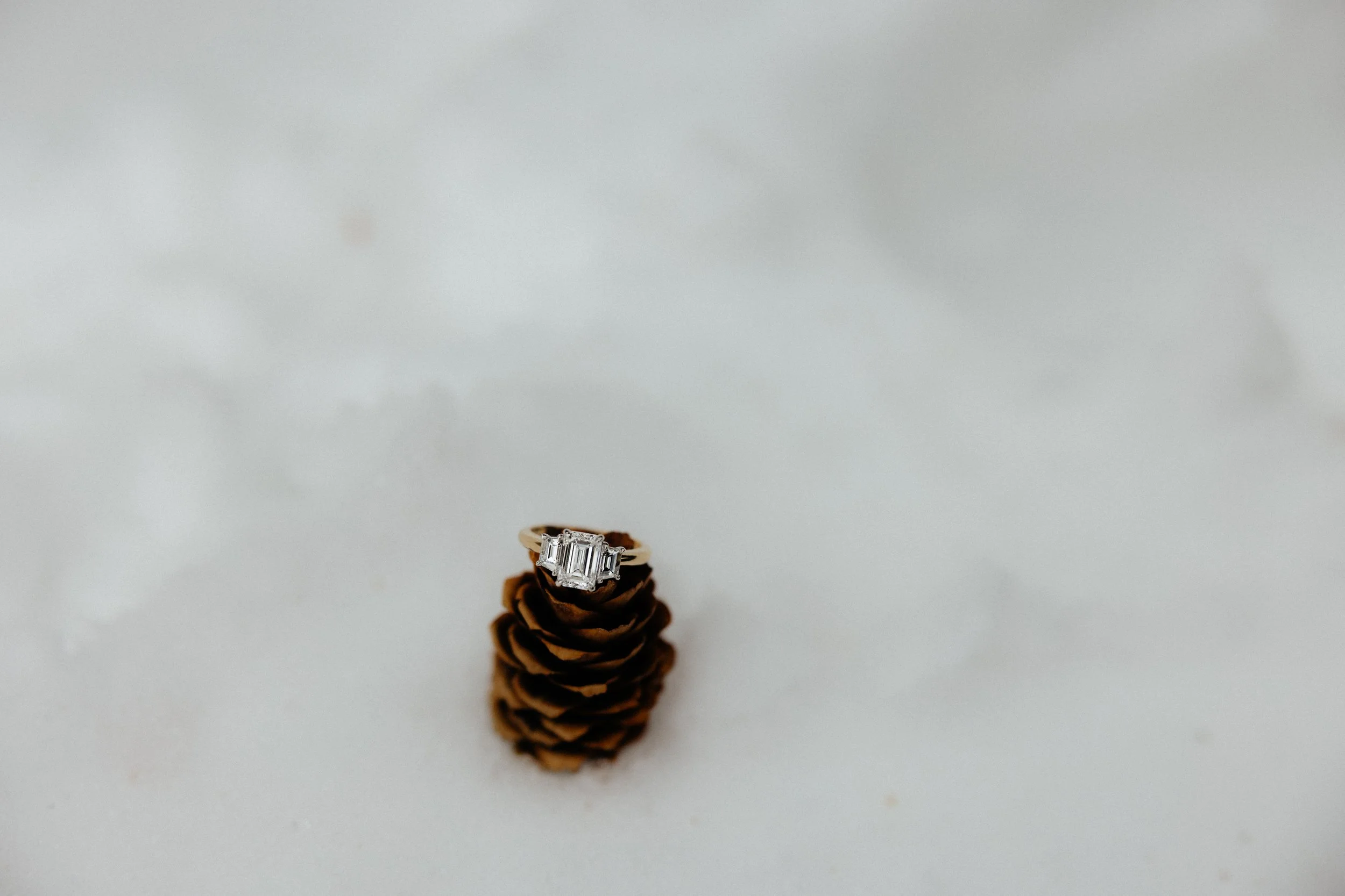 _Fave_Proposal-3127.jpg