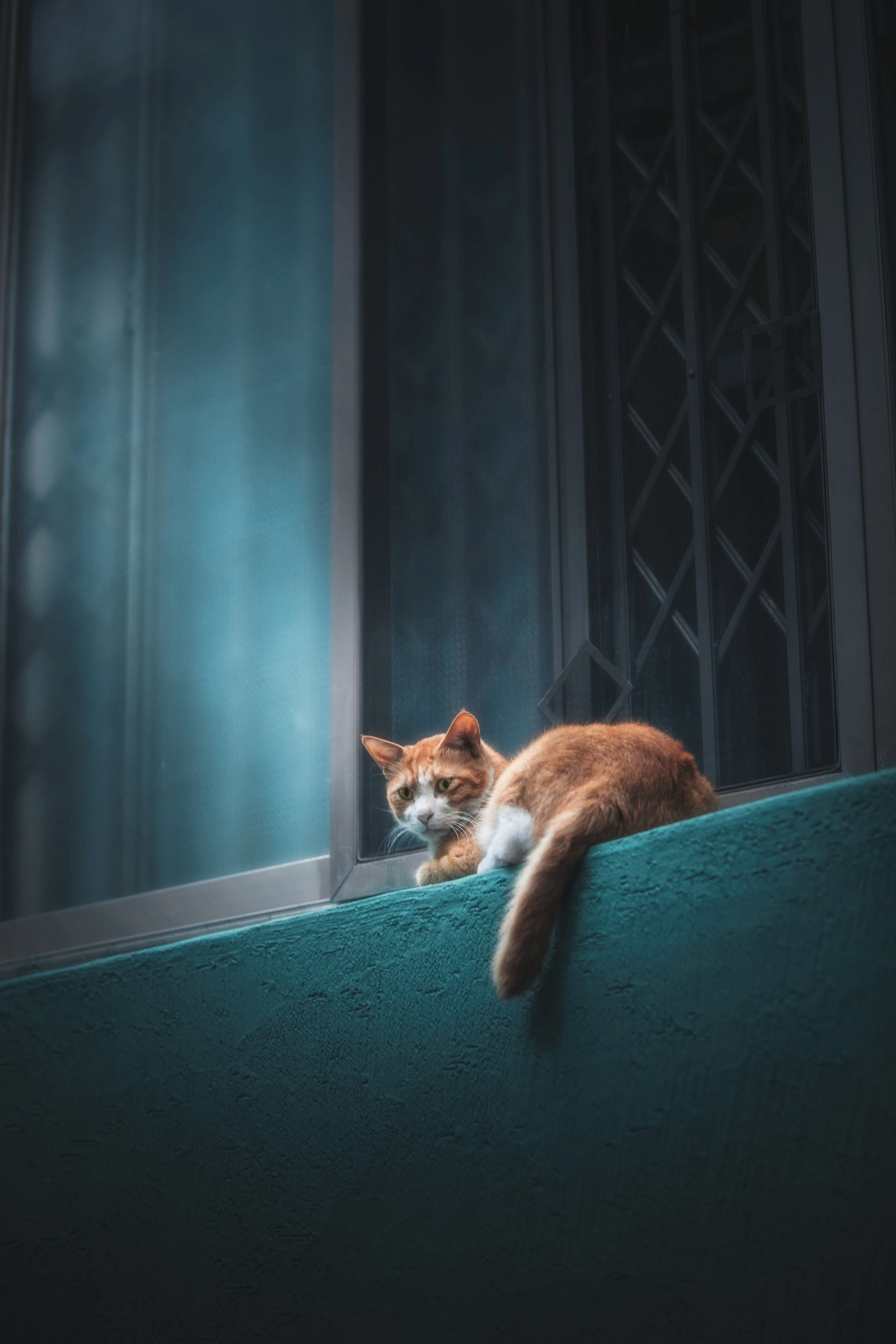 1P2A2498-Edit.jpg