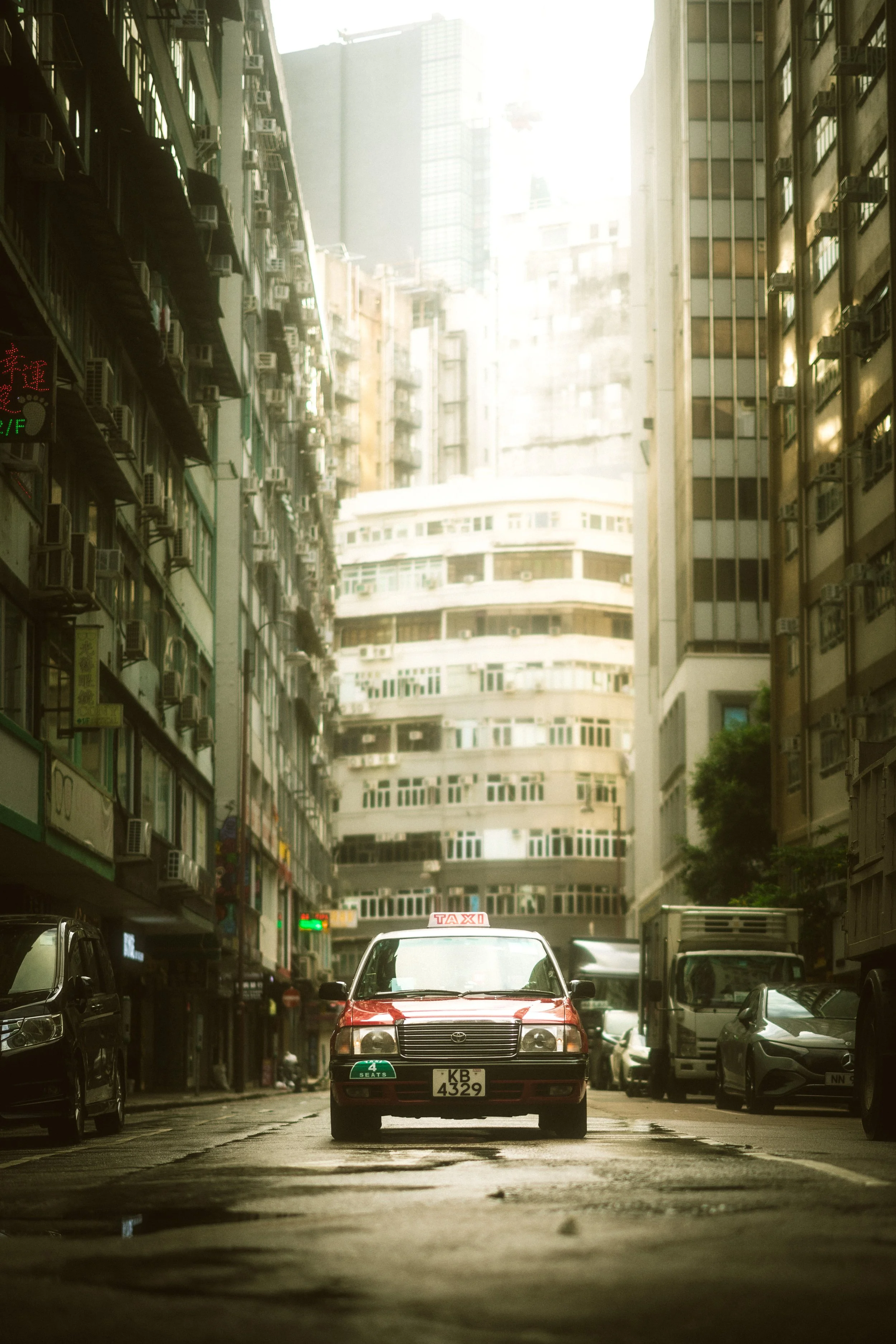 278A1297-s.jpg