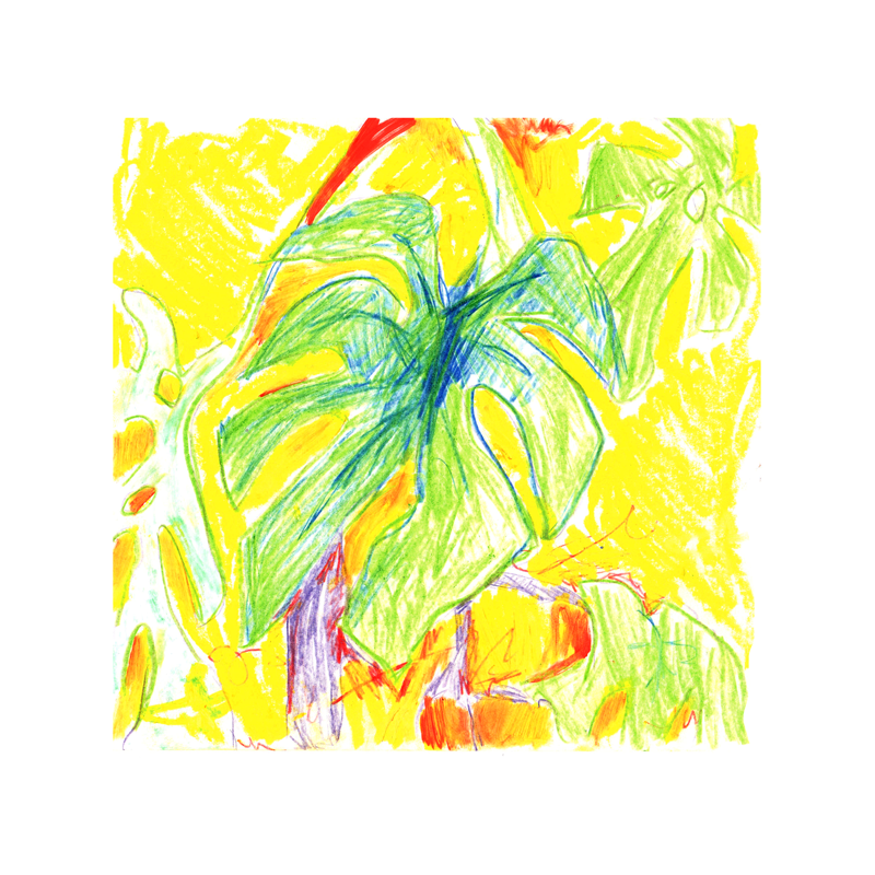 Plant-Life-LorenLam-art.png