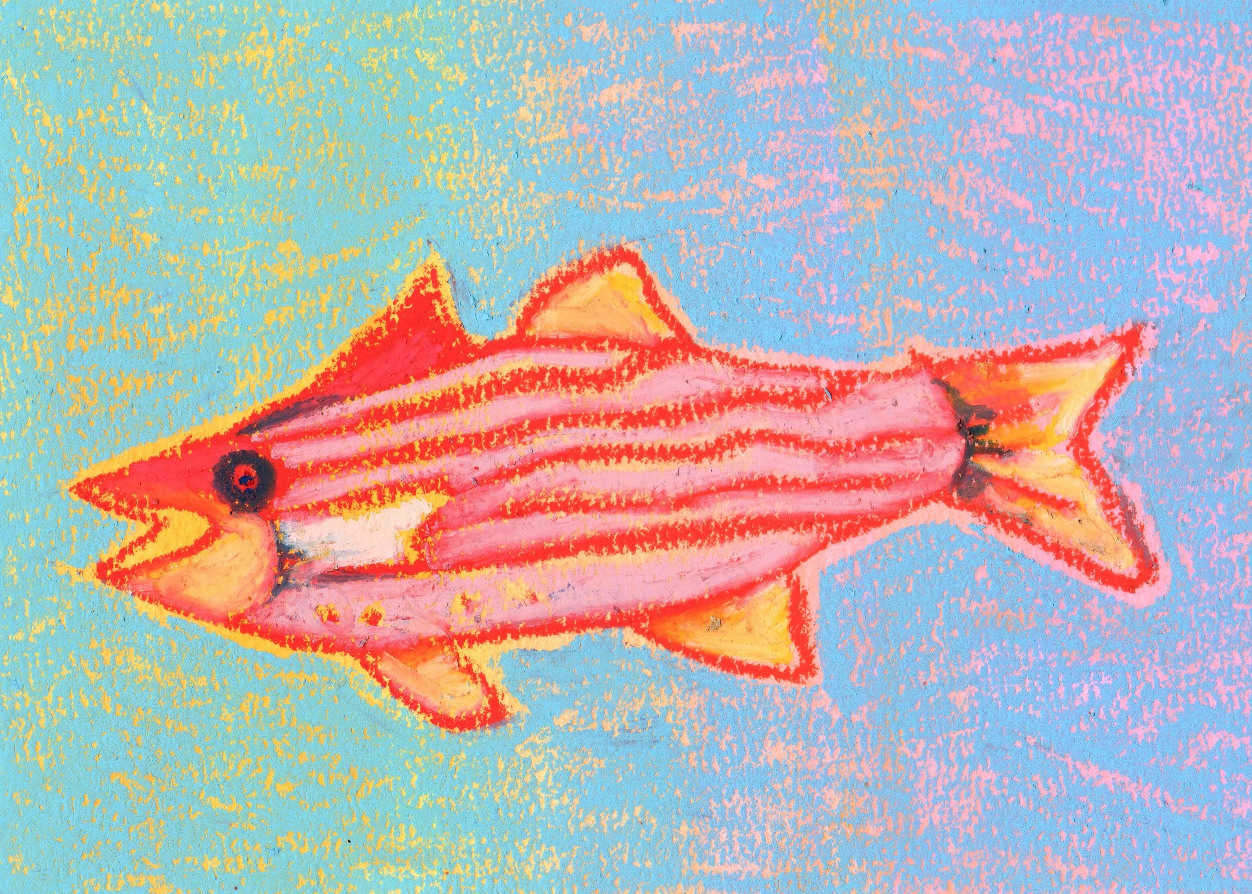 Salmon-7x5.jpg
