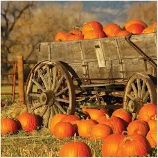 Fall Break