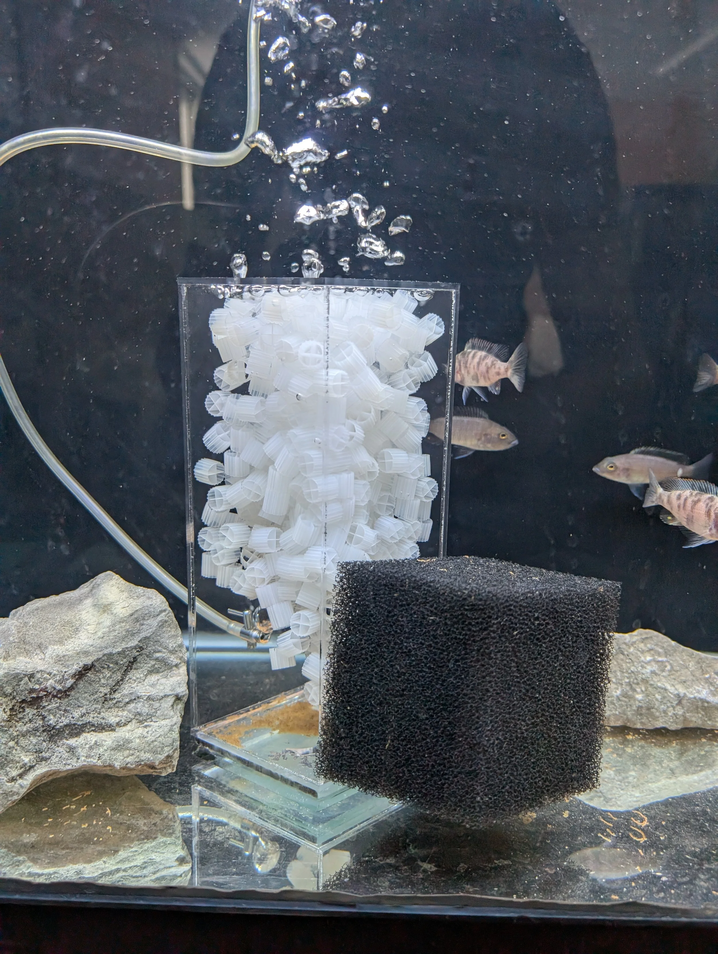K1 Media Aquarium Sponge Filters