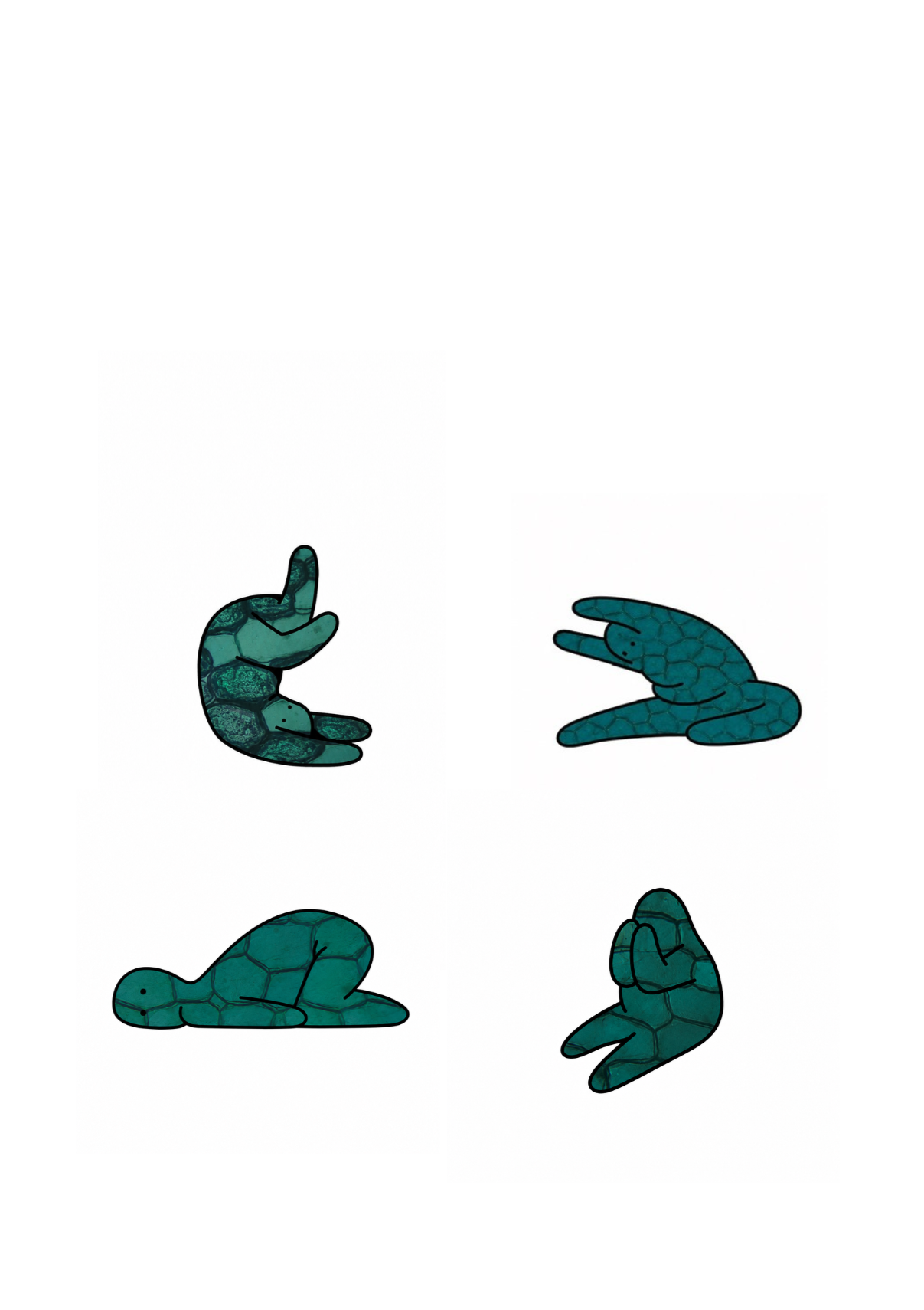 BLANK+%282%29.png