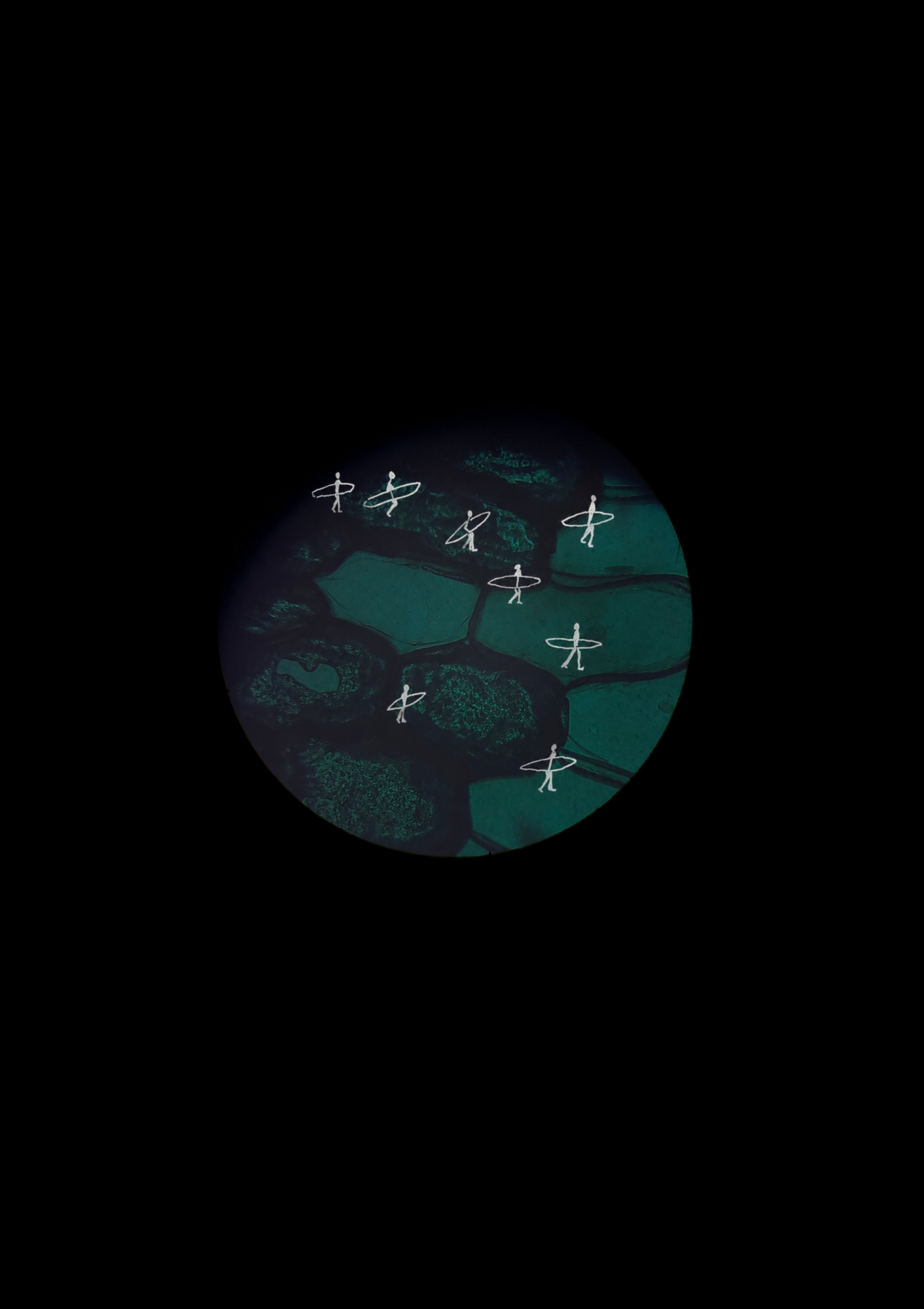 BLANK (3).png