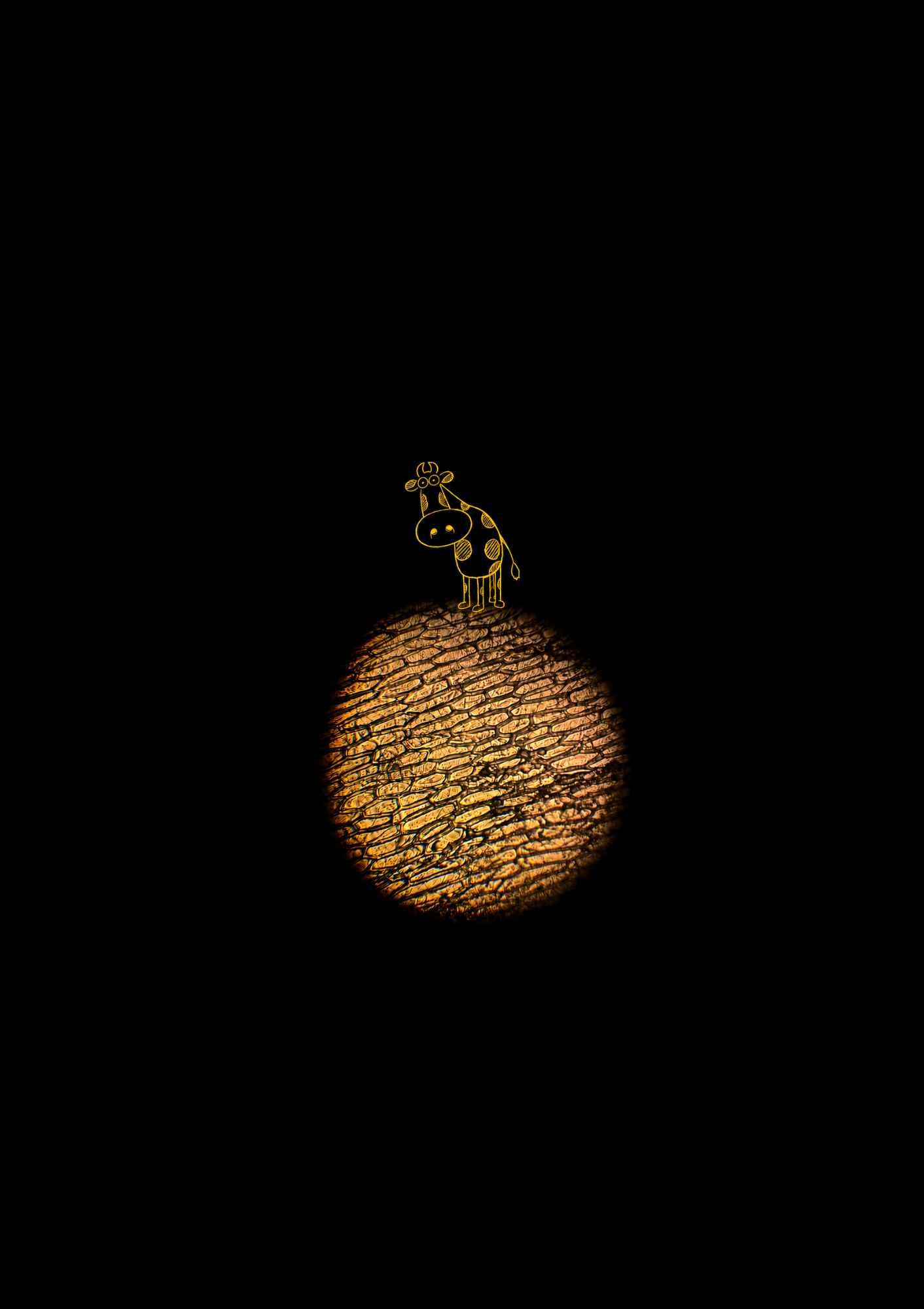BLANK (4).png