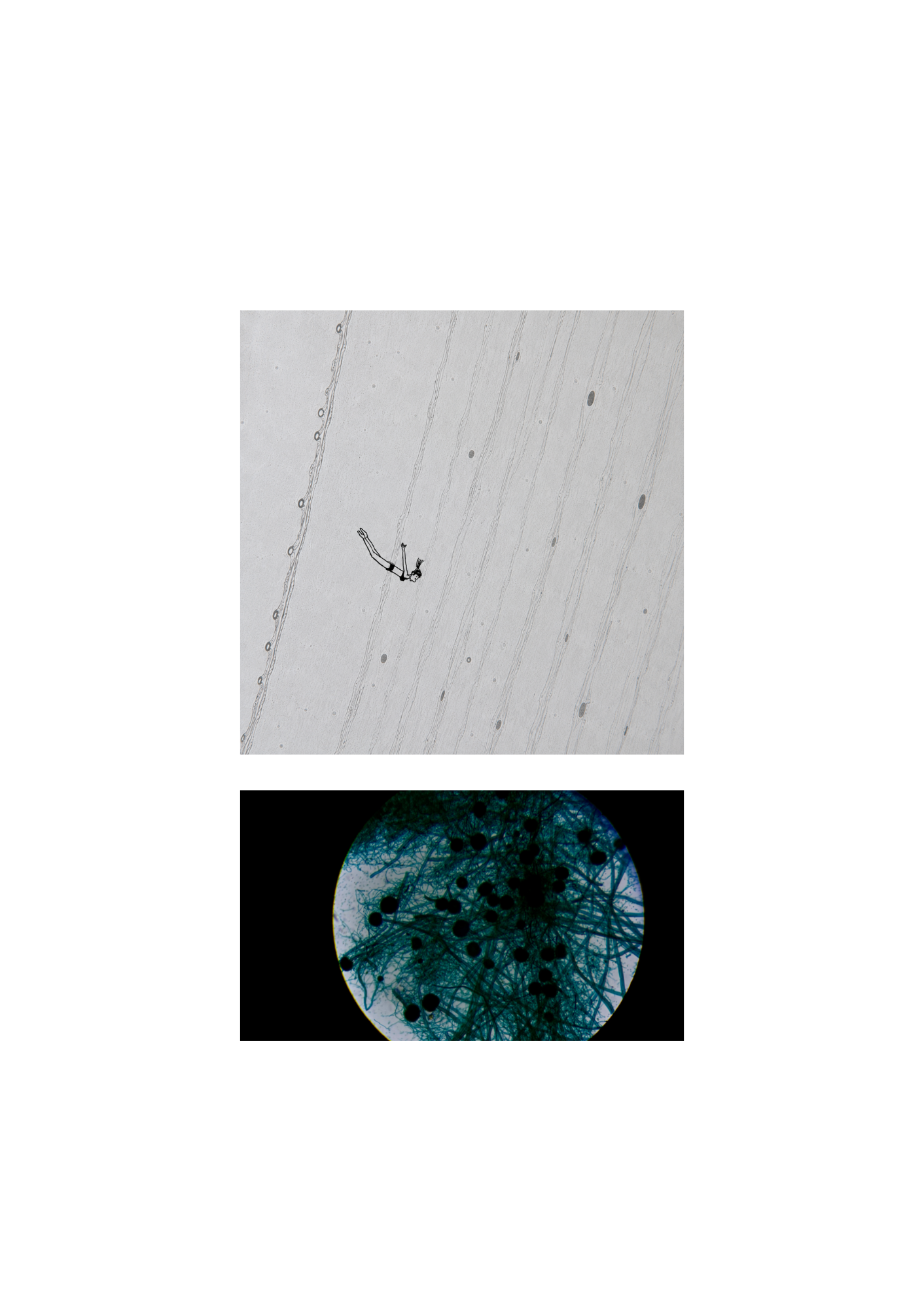 BLANK (5).png