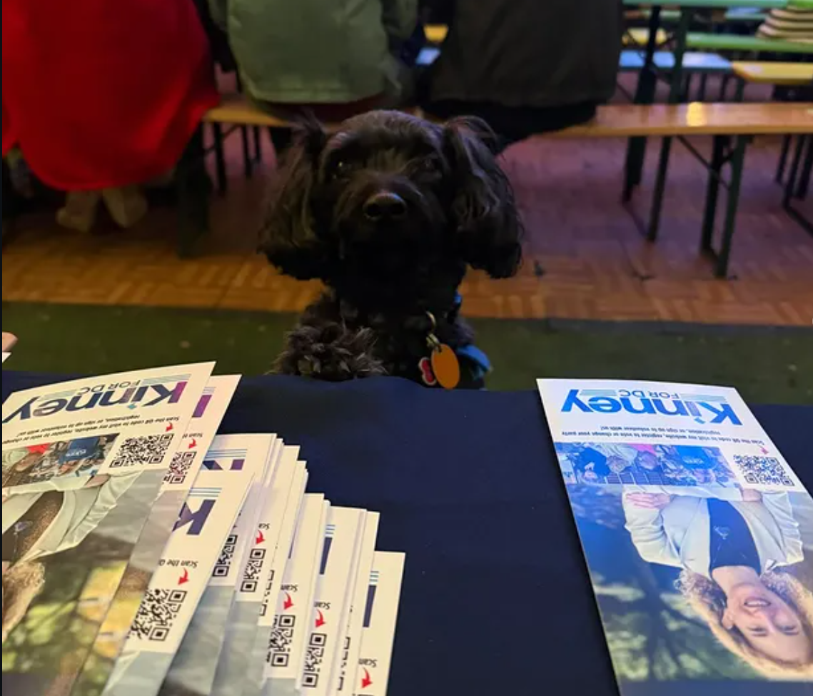 Petitioning, canvassing, and watching the Super Bowl made for a good weekend. 