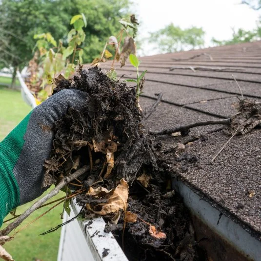 Close-up of a person wearing a green glove holding a handful of soil and plant roots next to a roof edge with damaged shingles and wet leaves.