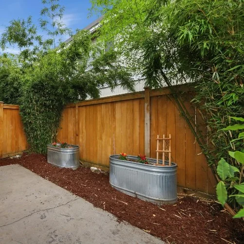 Garden with two large metal planters filled with flowers, a wooden fence, and green bamboo plants along the fence under a blue sky.