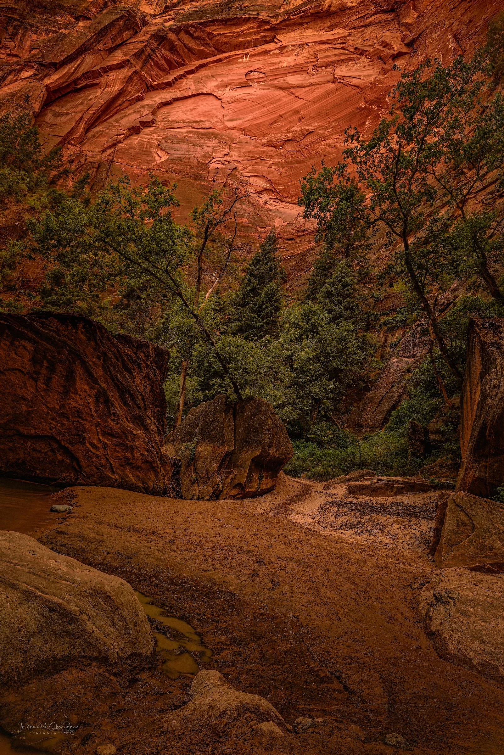 Zion Narrows Sandstone Wall TruLife Acrylic Wall Art - Indranil Chandra Photography