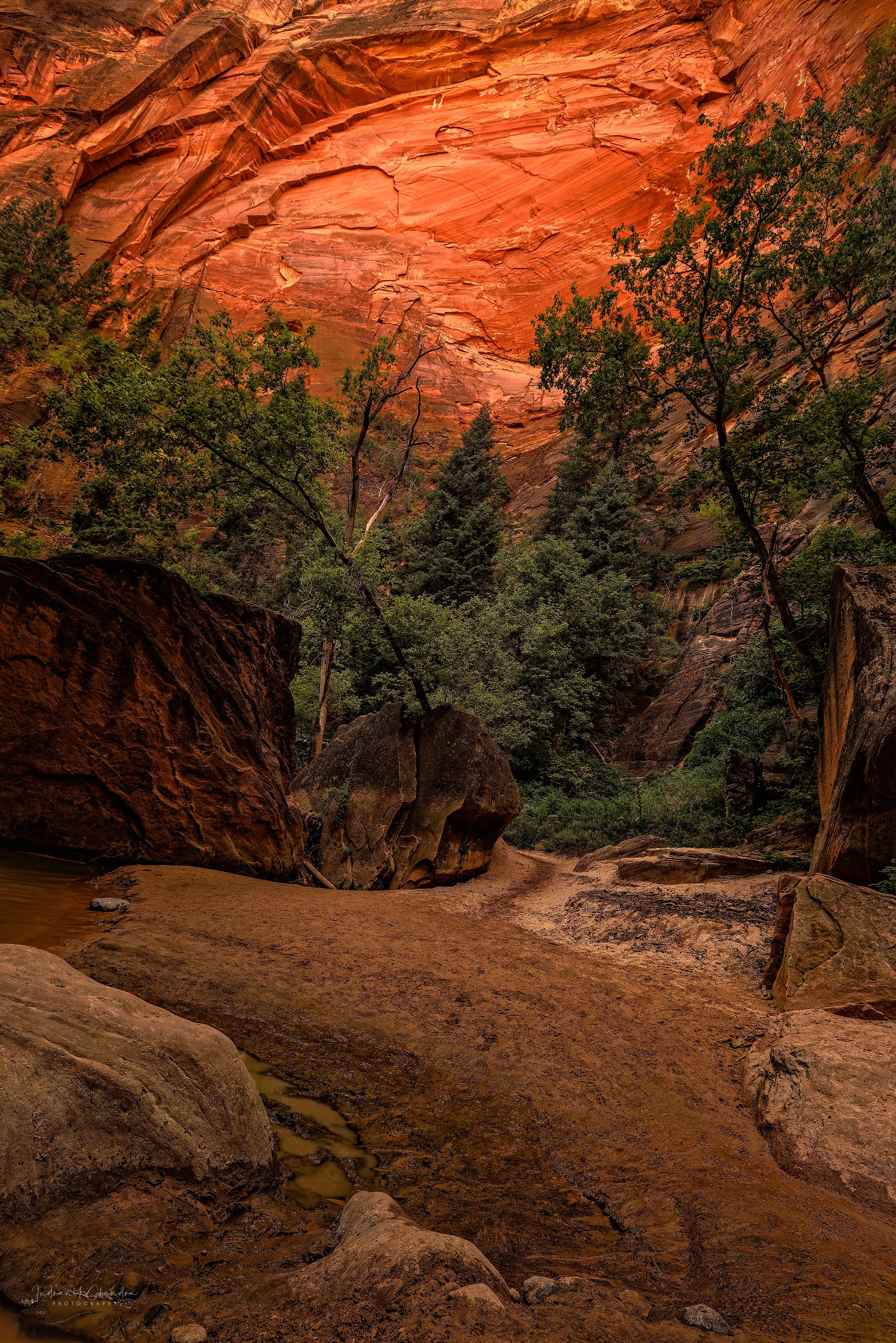Narrows in Zion National Park showcasing the towering red sandstone cliffs and lush canyon vegetation.