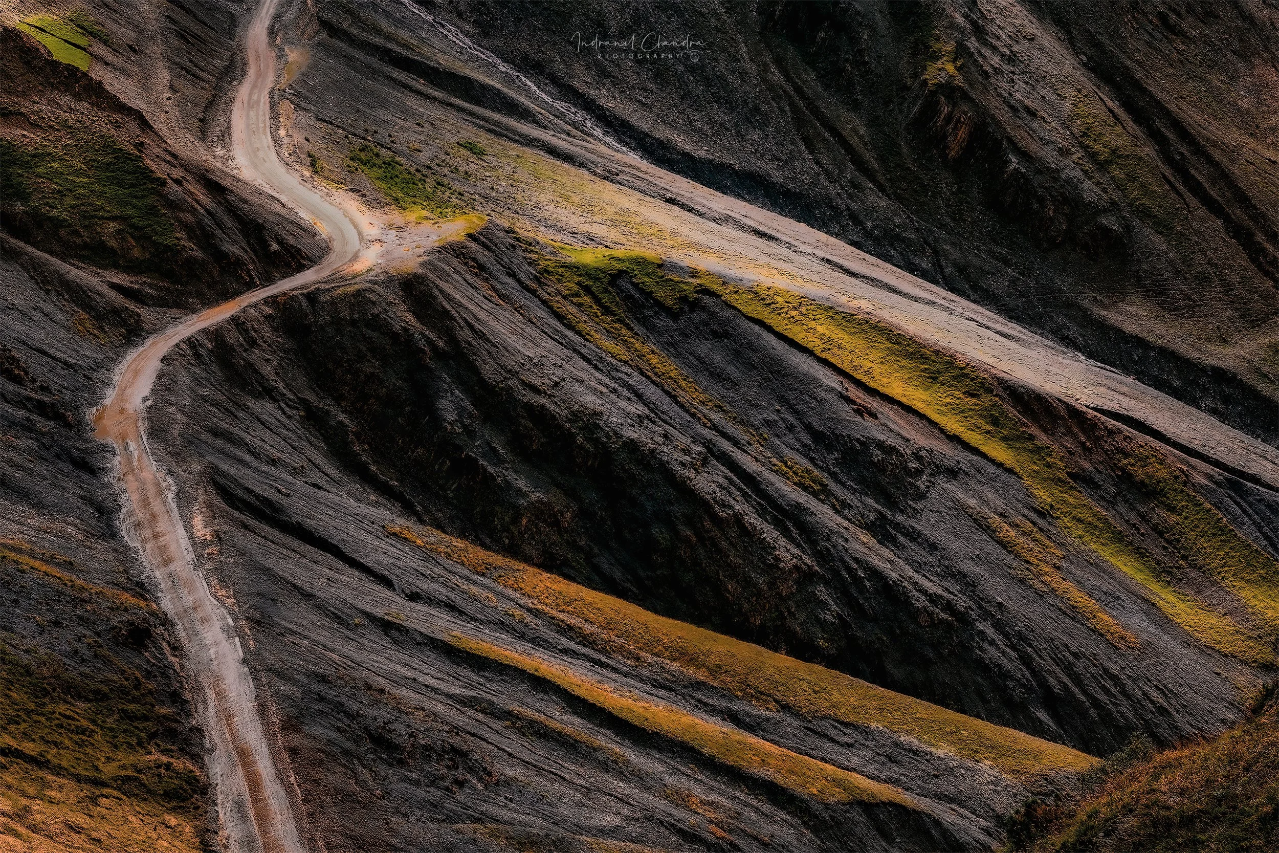 Nature & Landscape