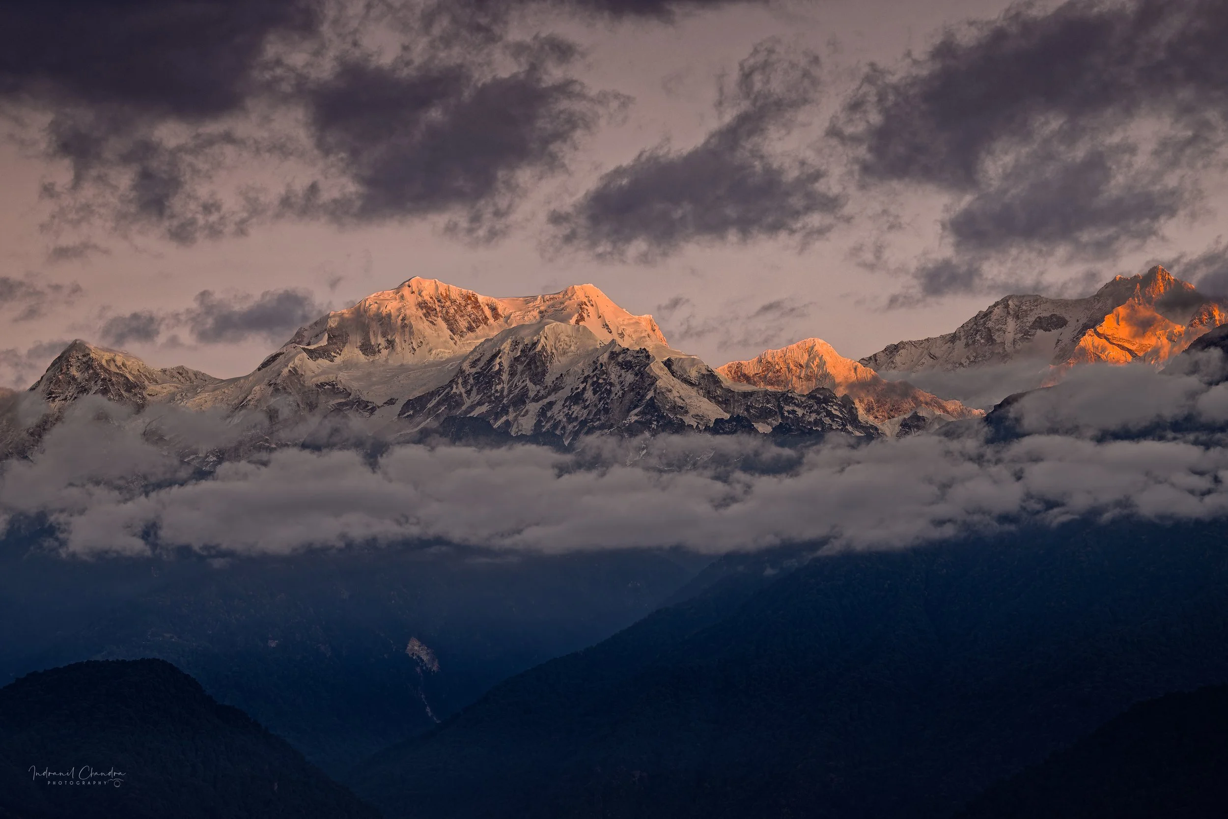 The Kanchenjunga massif (third highest mountain at 8586 m) glowing in the soft, ethereal alpenglow.