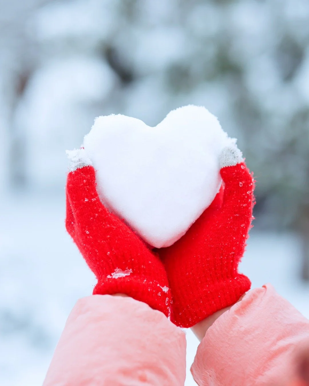 💡 Got a business or office that wants to give back? Corporate and group sponsorships are a huge help. 

Whether you collect gift cards or adopt a full family, you&rsquo;re making a tangible difference right here in our community.

No donation is too