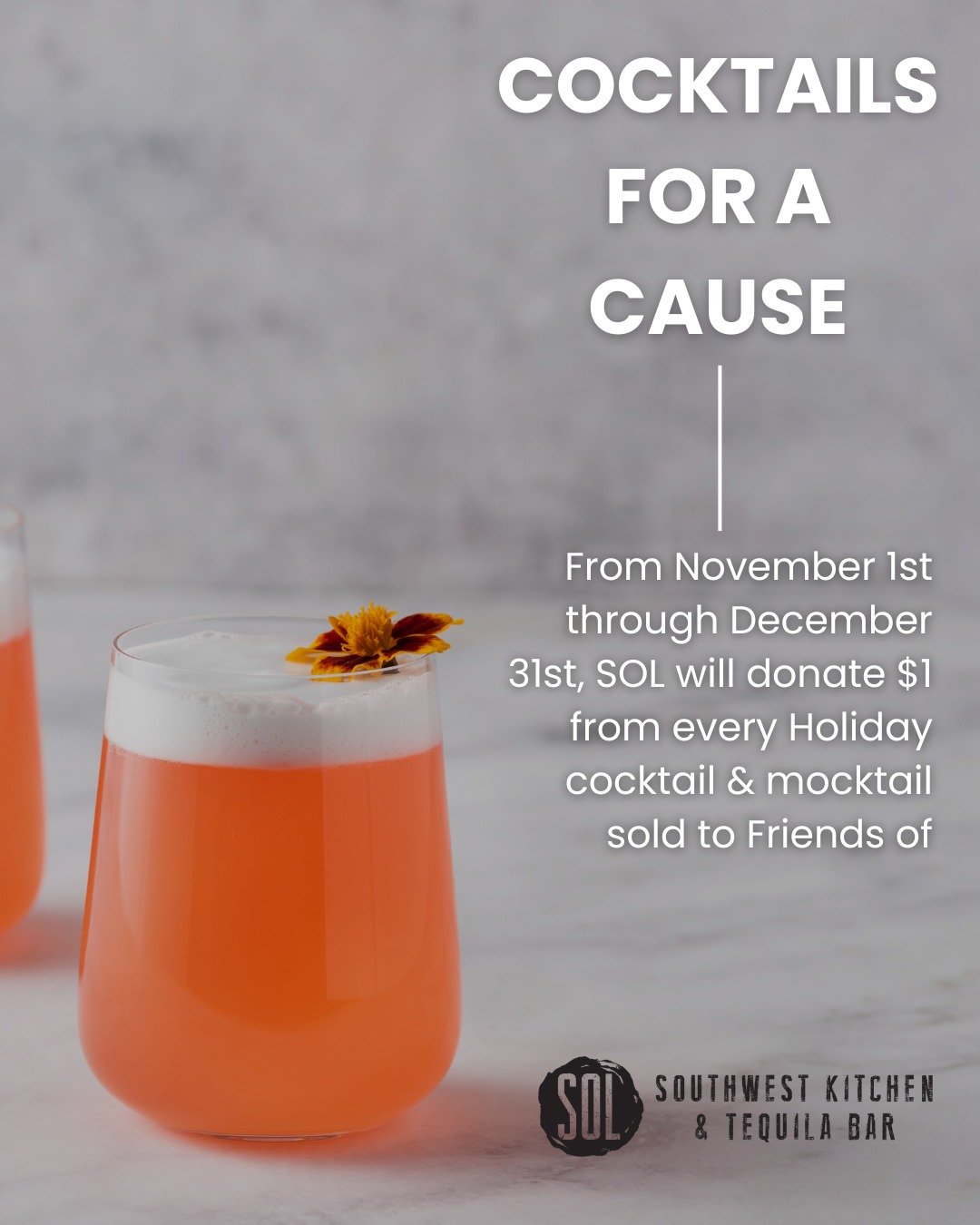 Cranberry Spiced Margaritas taste better when they make a difference. 

Order a holiday drink at SOL and they will send one dollar to Friends of Santa. 

It is the easiest yes of the season. 

#friendsofsanta #communityimpact #eastofthecooper #holida