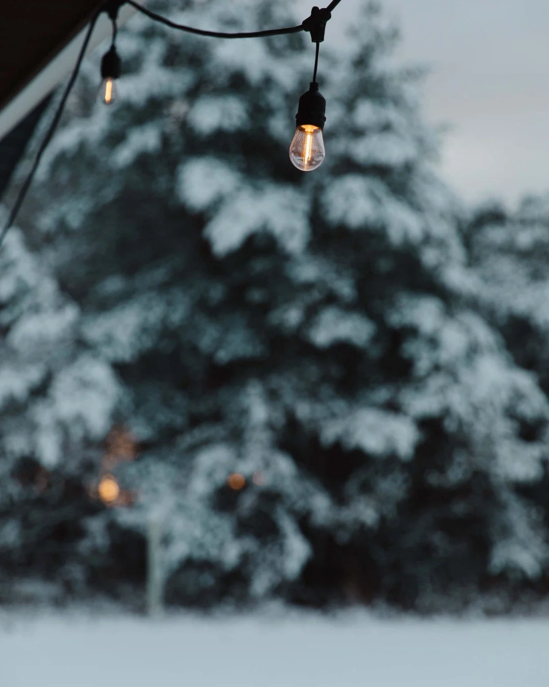 Gift cards are a huge help for families who need flexibility. Walmart, Target, Publix, Harris Teeter, and Uber gift cards meet real needs quickly. Include your name so we can thank you.

Email or mail to:
sleighmail@friendsofsanta.com

#friendsofsant