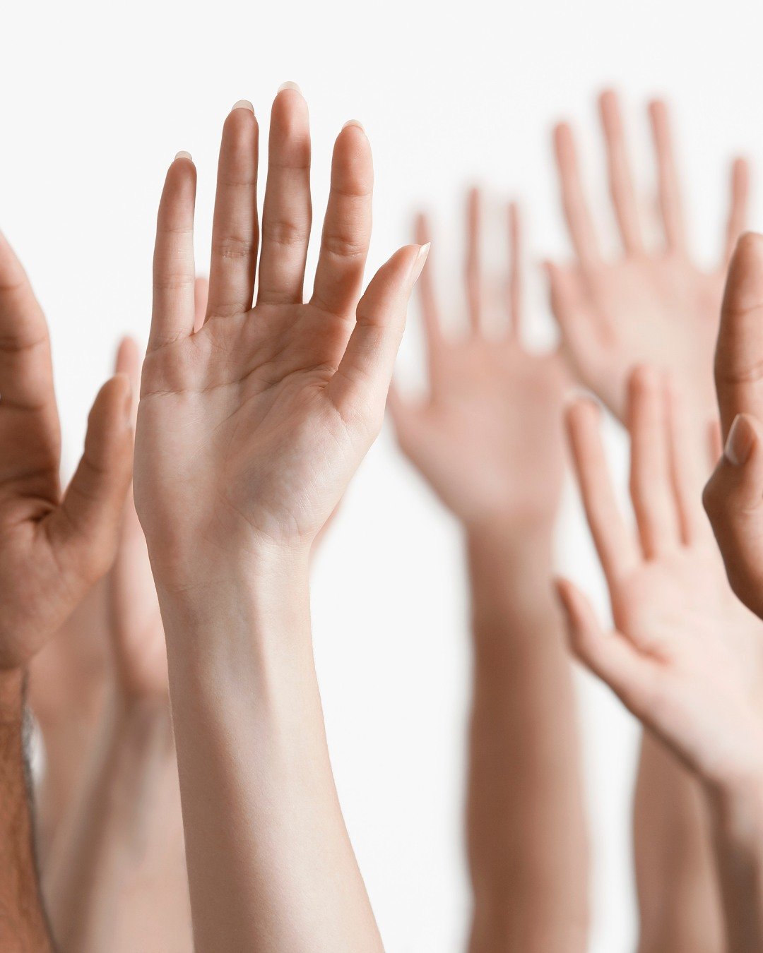 Our volunteers show up every single time with full hearts, great energy, and zero hesitation. 

They shop, wrap, deliver, organize and somehow make it all look fun. 😄

We're so lucky to have every single one of them. Want to join in on the fun?  Che