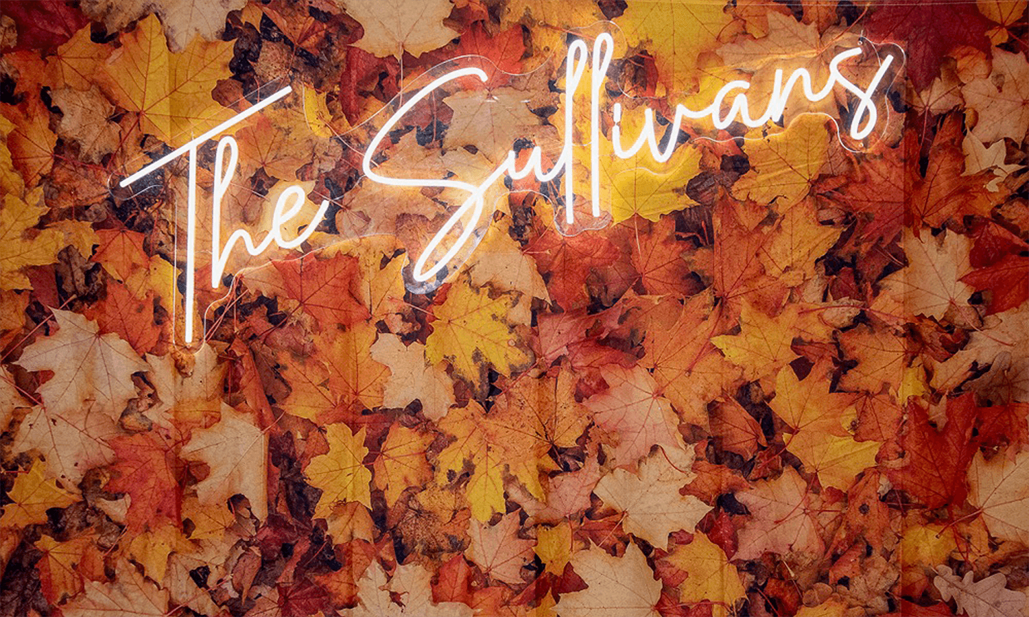 The Sullivan Wedding (and the Chaos We Thrive In)