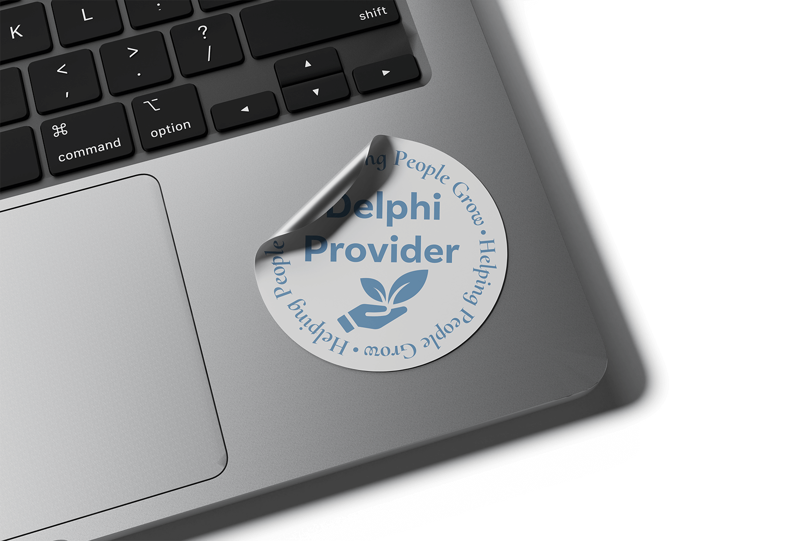 Delphi alternate logo sticker on laptop