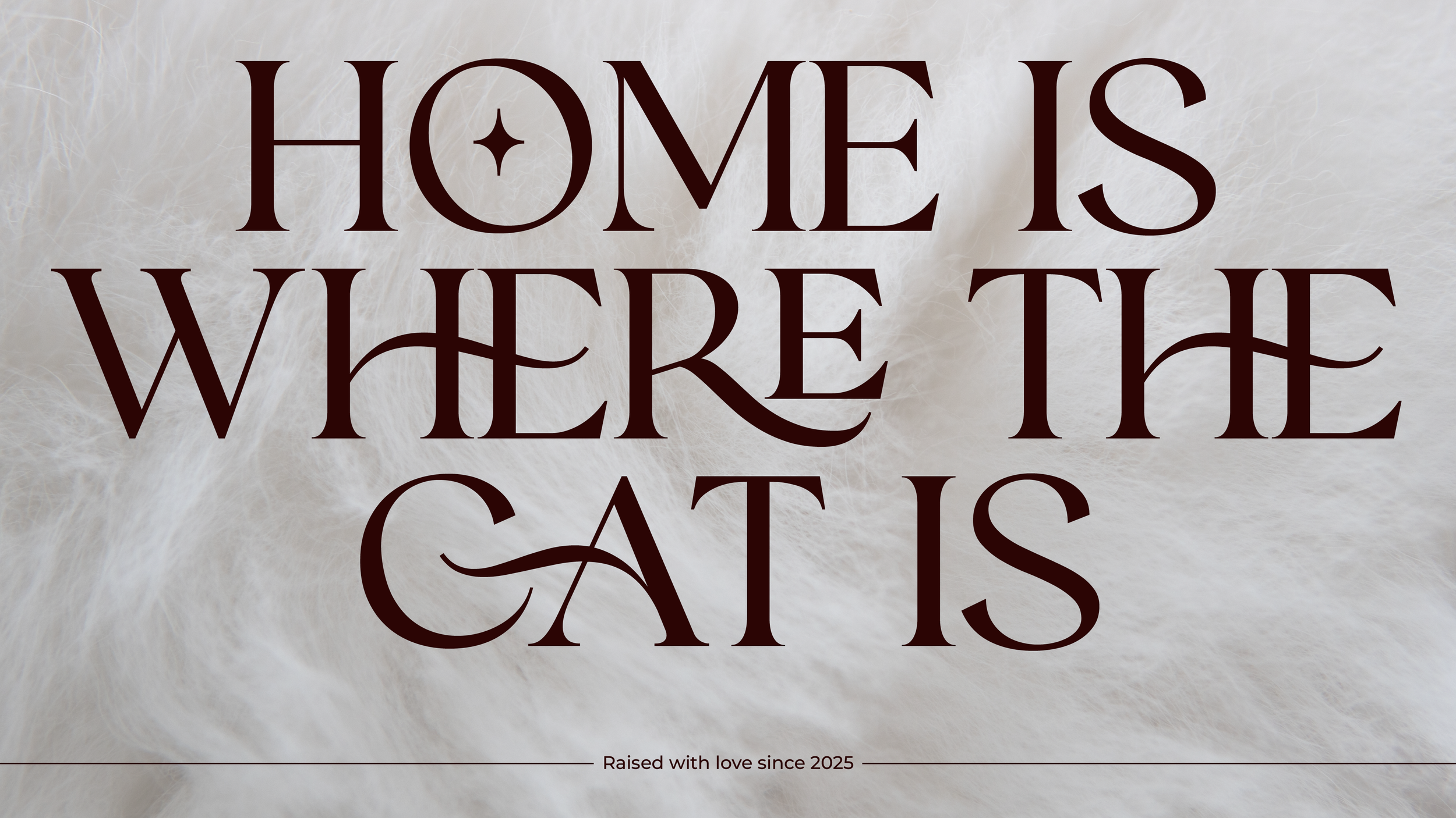 Long hair cat fur closeup with text saying home is where the cat lives, raised with love since 2025