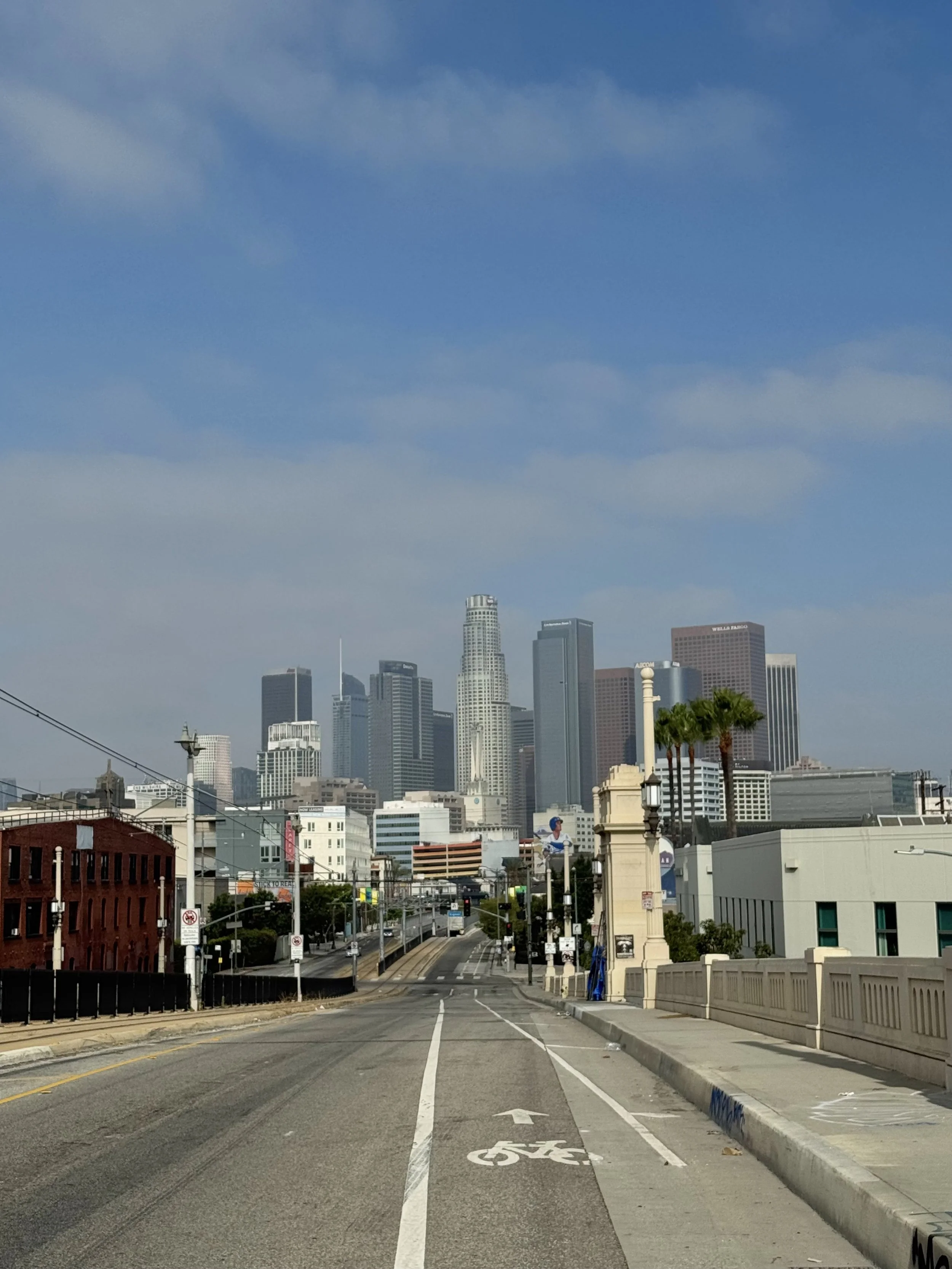 Community Resilience & Wellness