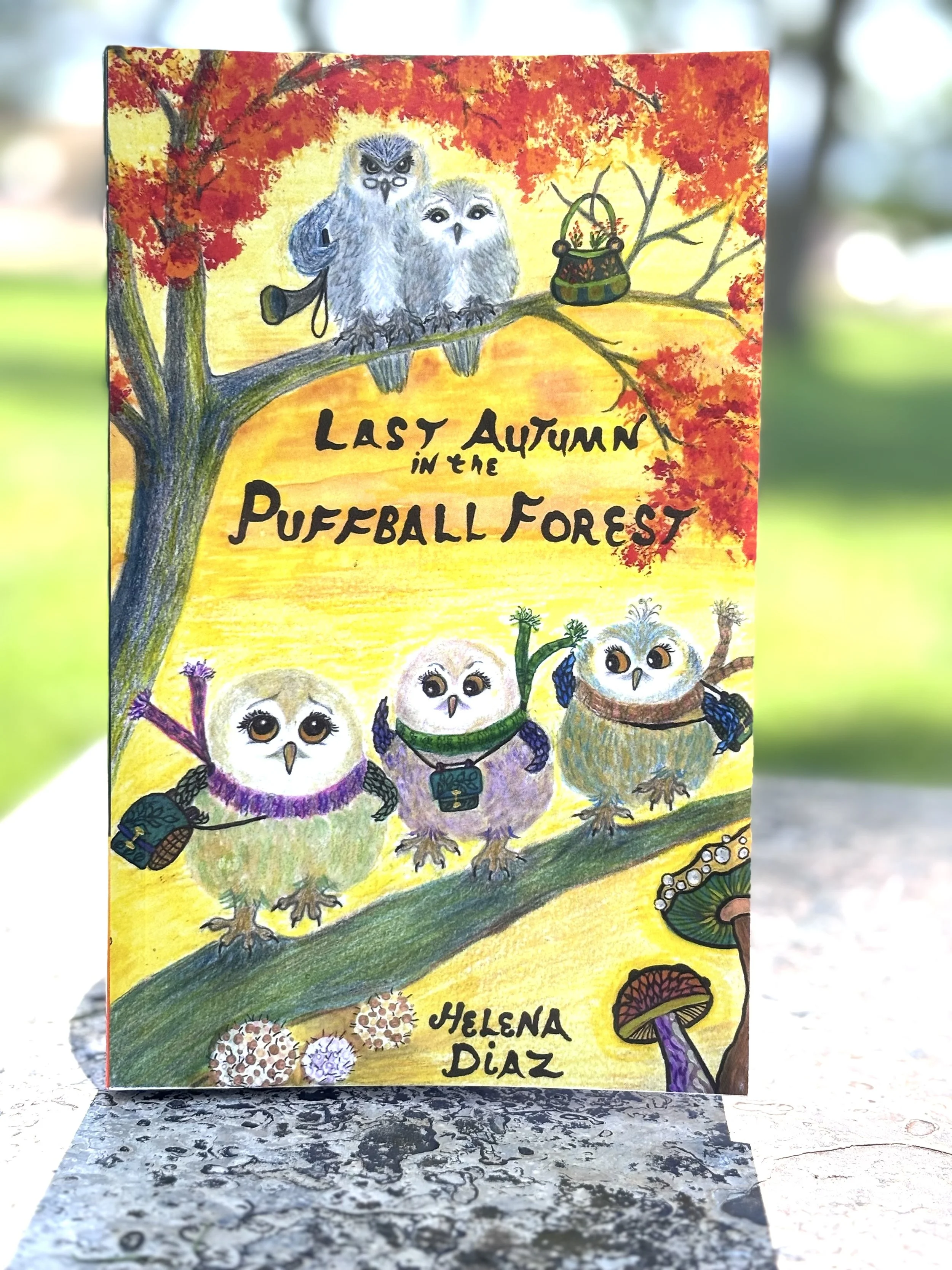 Last Autumn in the Puffball Forest