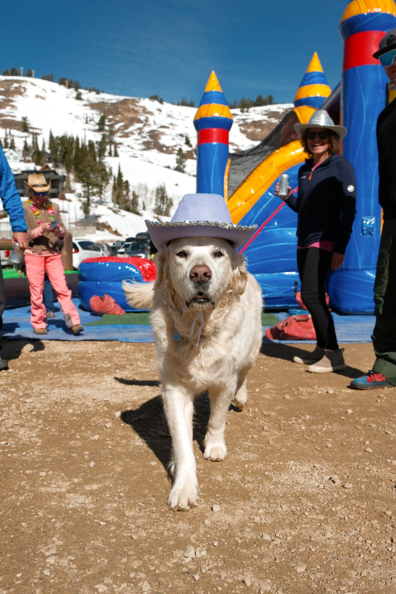 DSCF2460.jpg