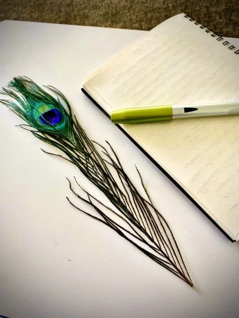 a peacock feather next to a notebook and a pen