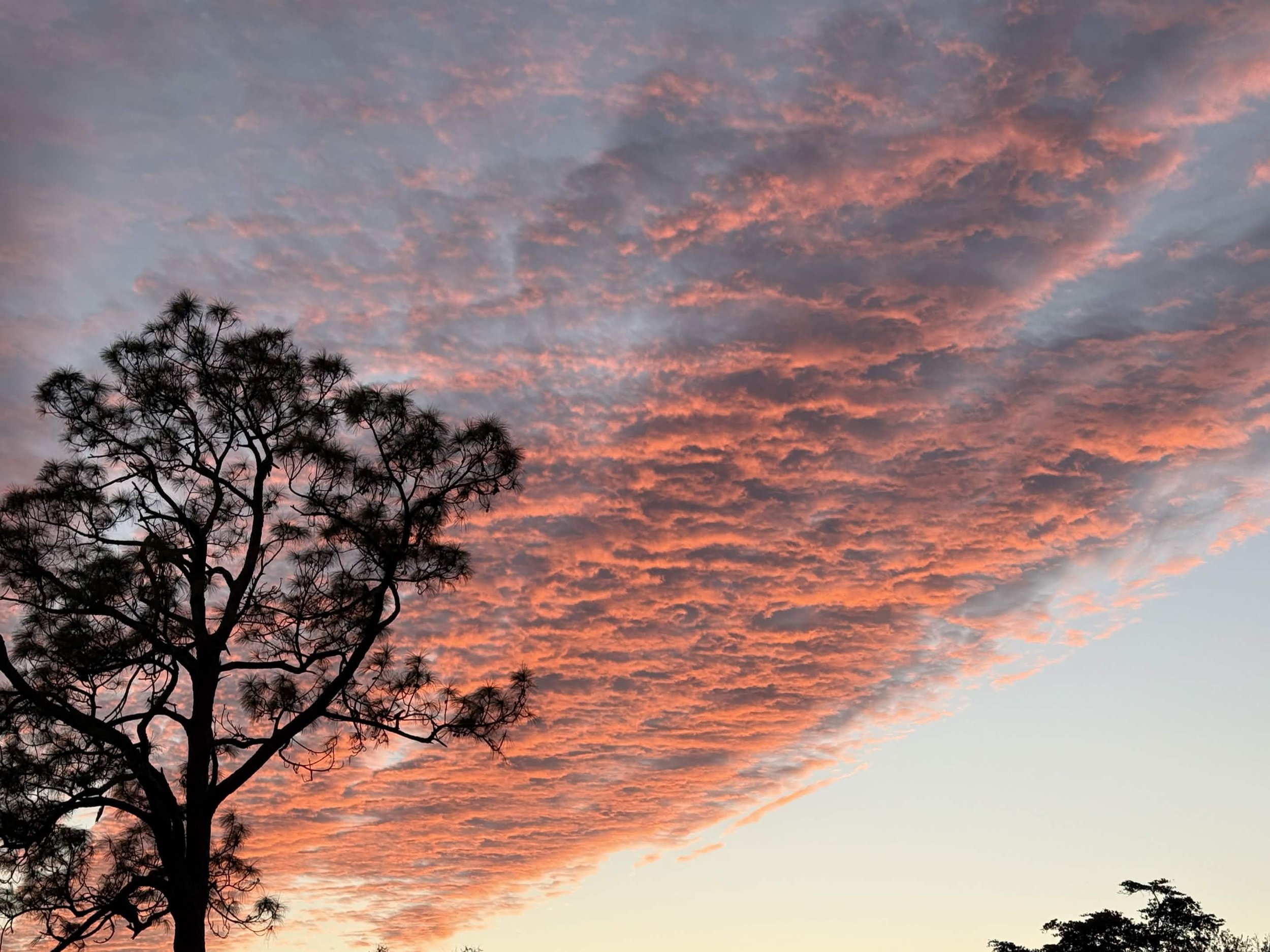 sky.jpg