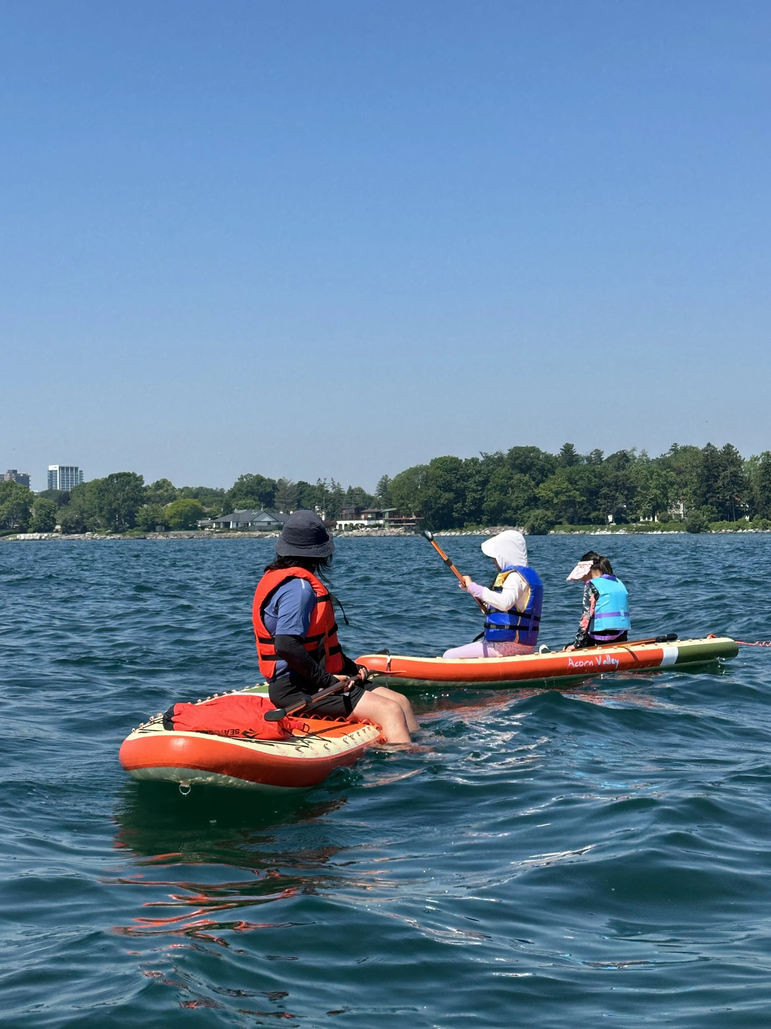 SUP Island Tour with CN Tower Views