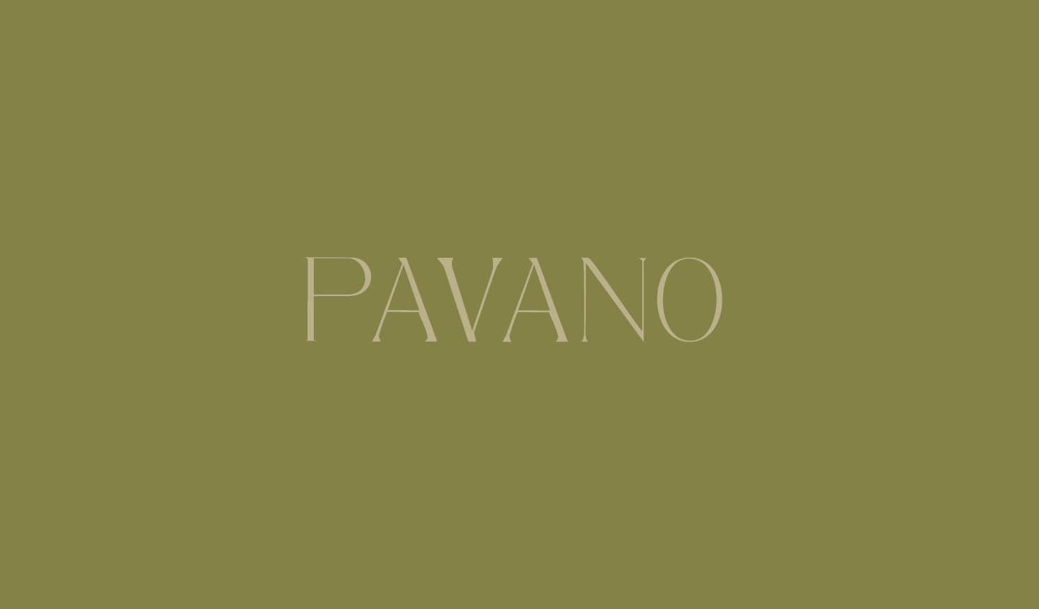 Pavano & Company 2.png