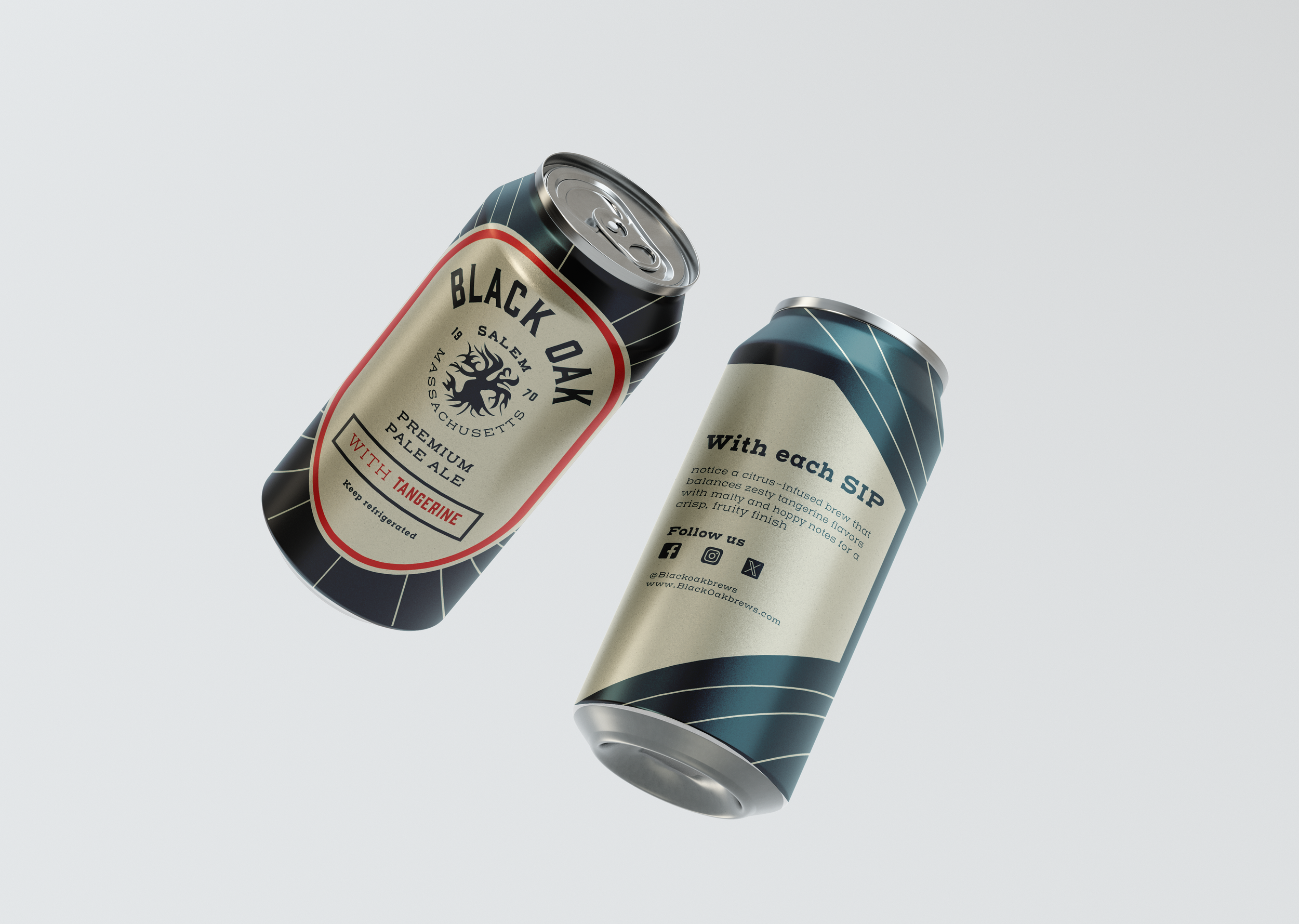 Free Soda Can Mockup.png