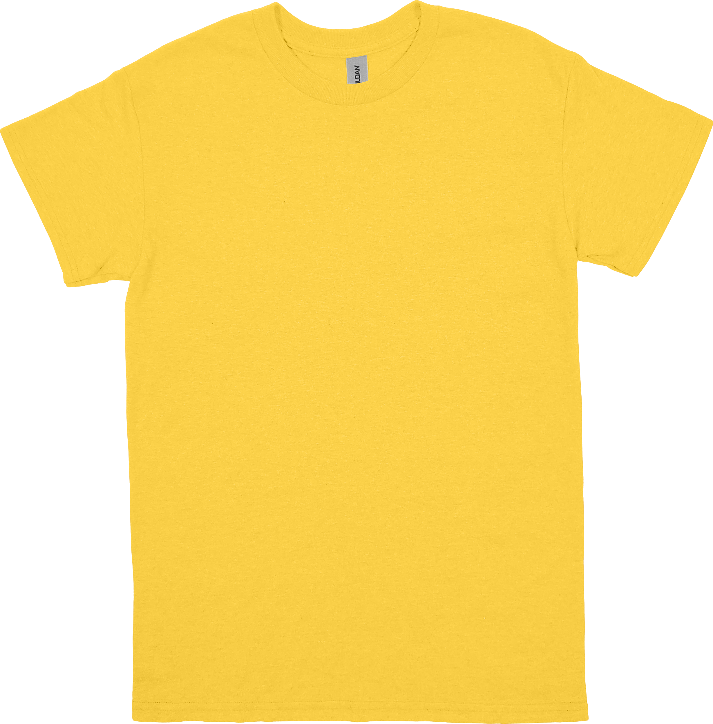 DAISY (1).png
