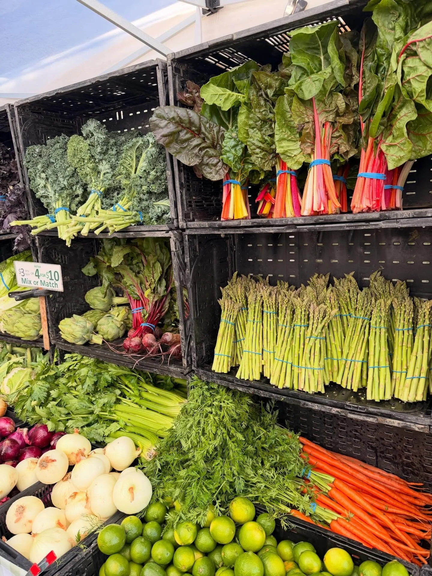 Little Farmers Market Color Inspiration 🥦🥕